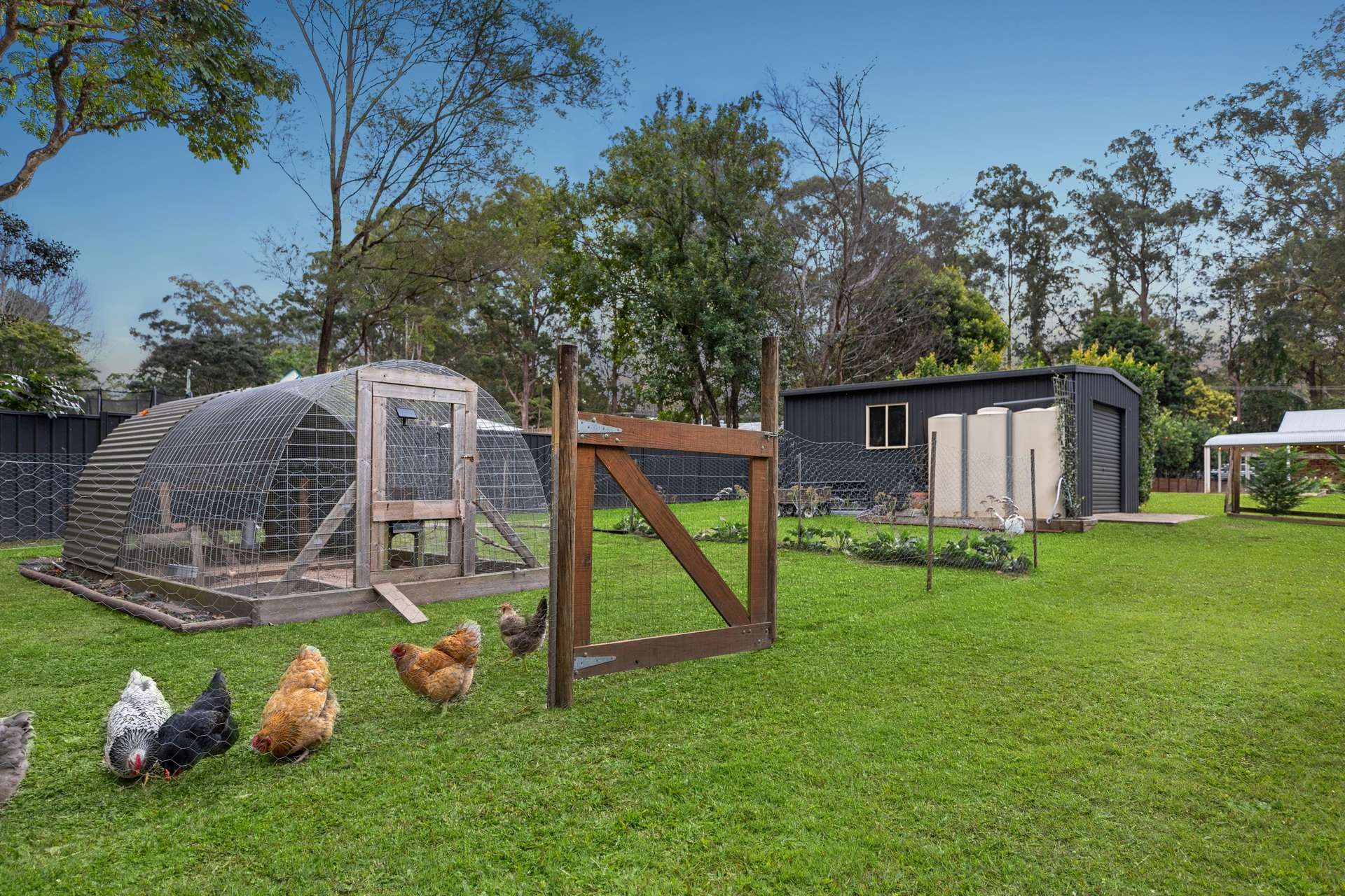 2714 Old Gympie Road, Beerwah For Sale by Farmbuy.com - image 21