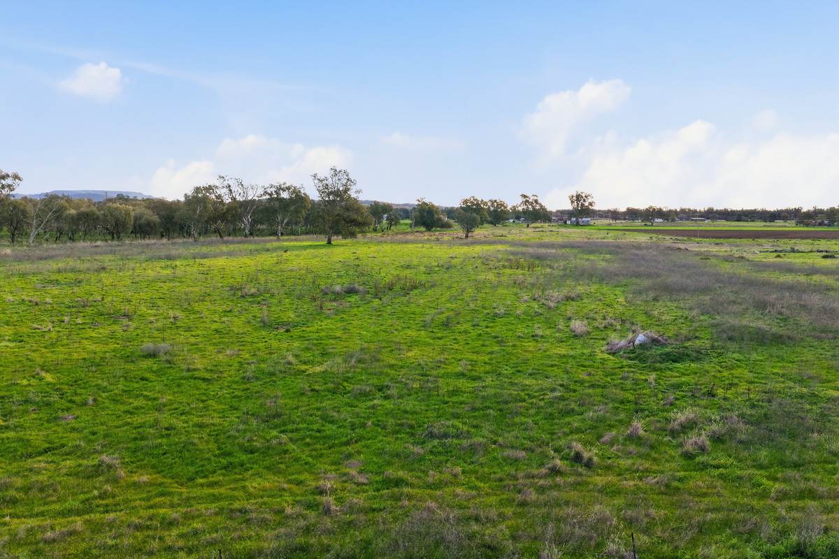 34-72 Lochrey Road, Gunnedah For Sale by Farmbuy.com - image 3