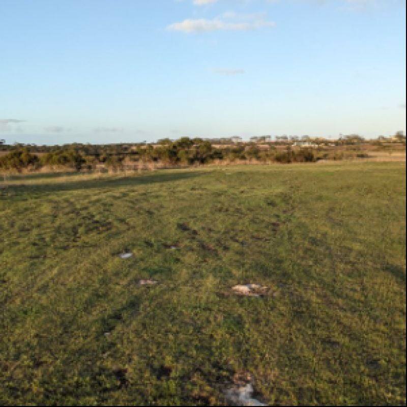 Lot 124 Lake View Road, Minlaton For Sale by Farmbuy.com - image 4