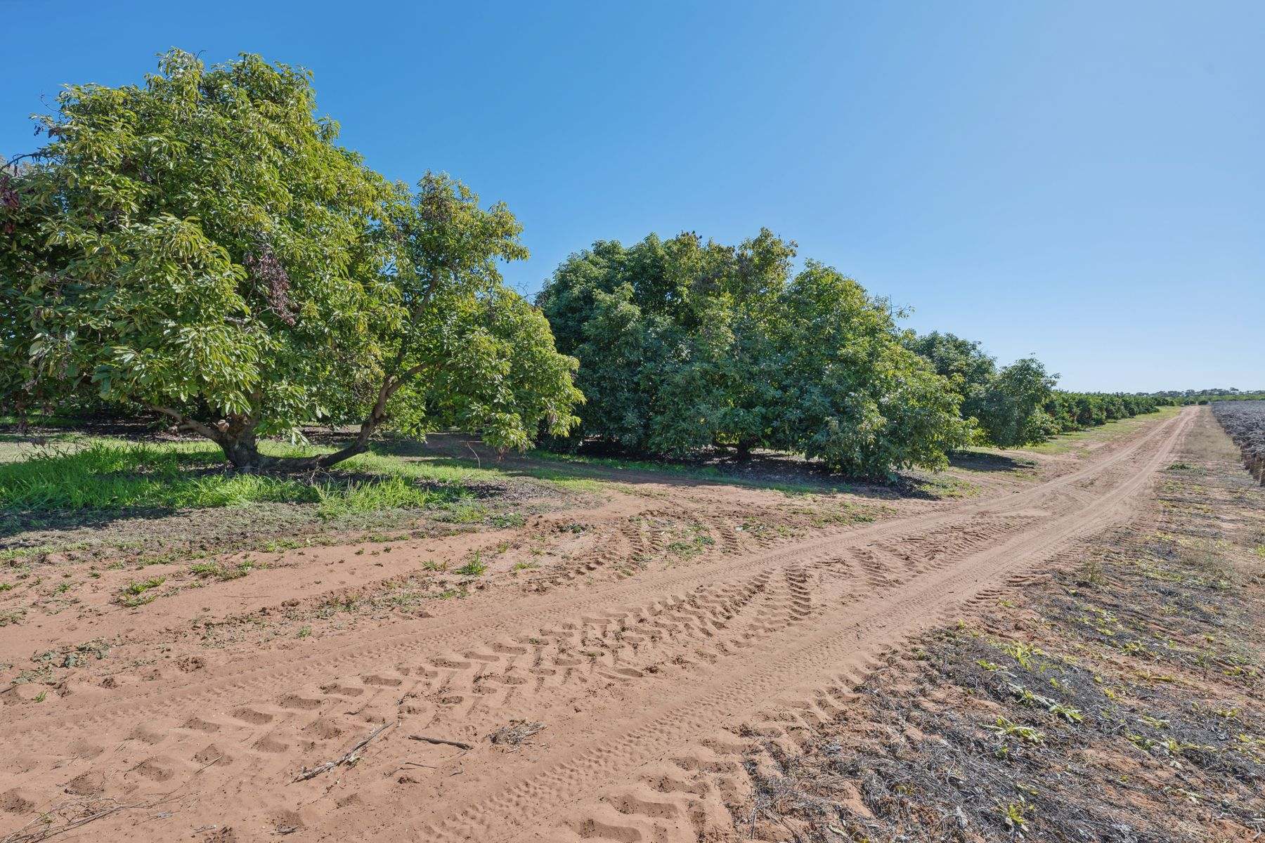138 Castle Crossing Road, Nangiloc For Sale by Farmbuy.com - image 29