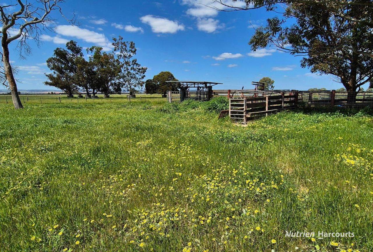 "Gracefield Park", 754 Beermullah Road West, Beermullah For Sale by Farmbuy.com - image 30