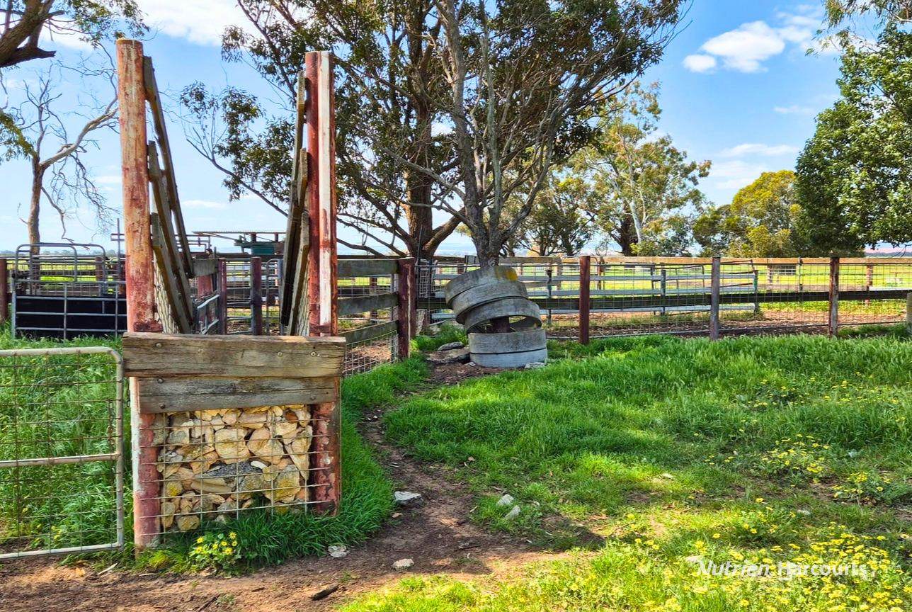 "Gracefield Park", 754 Beermullah Road West, Beermullah For Sale by Farmbuy.com - image 22