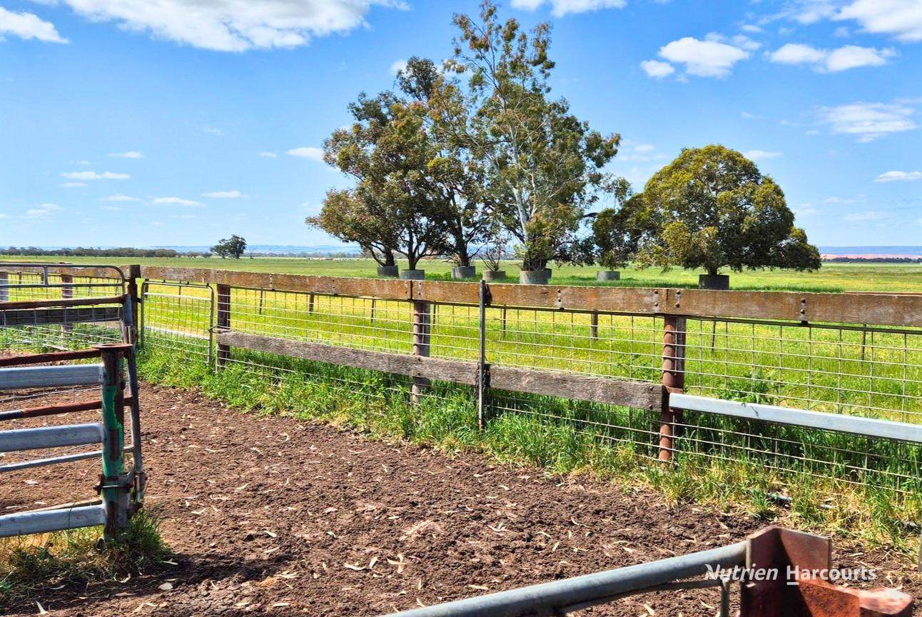 "Gracefield Park", 754 Beermullah Road West, Beermullah For Sale by Farmbuy.com - image 23