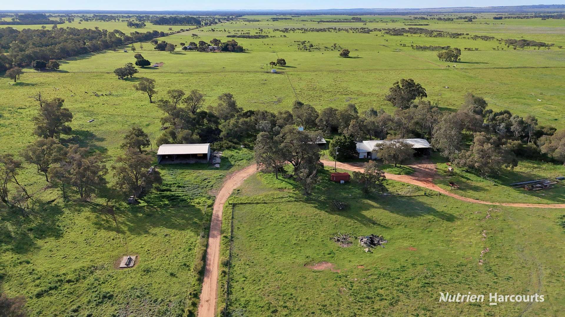 "Gracefield Park", 754 Beermullah Road West, Beermullah For Sale by Farmbuy.com - image 8