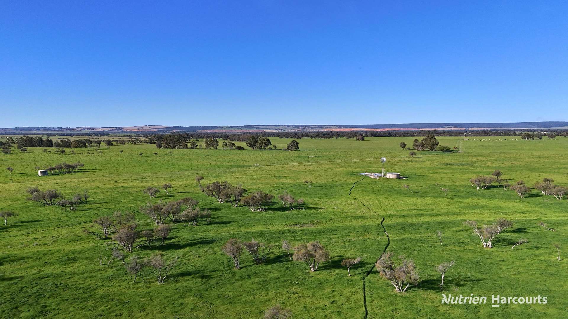 "Gracefield Park", 754 Beermullah Road West, Beermullah For Sale by Farmbuy.com - image 28