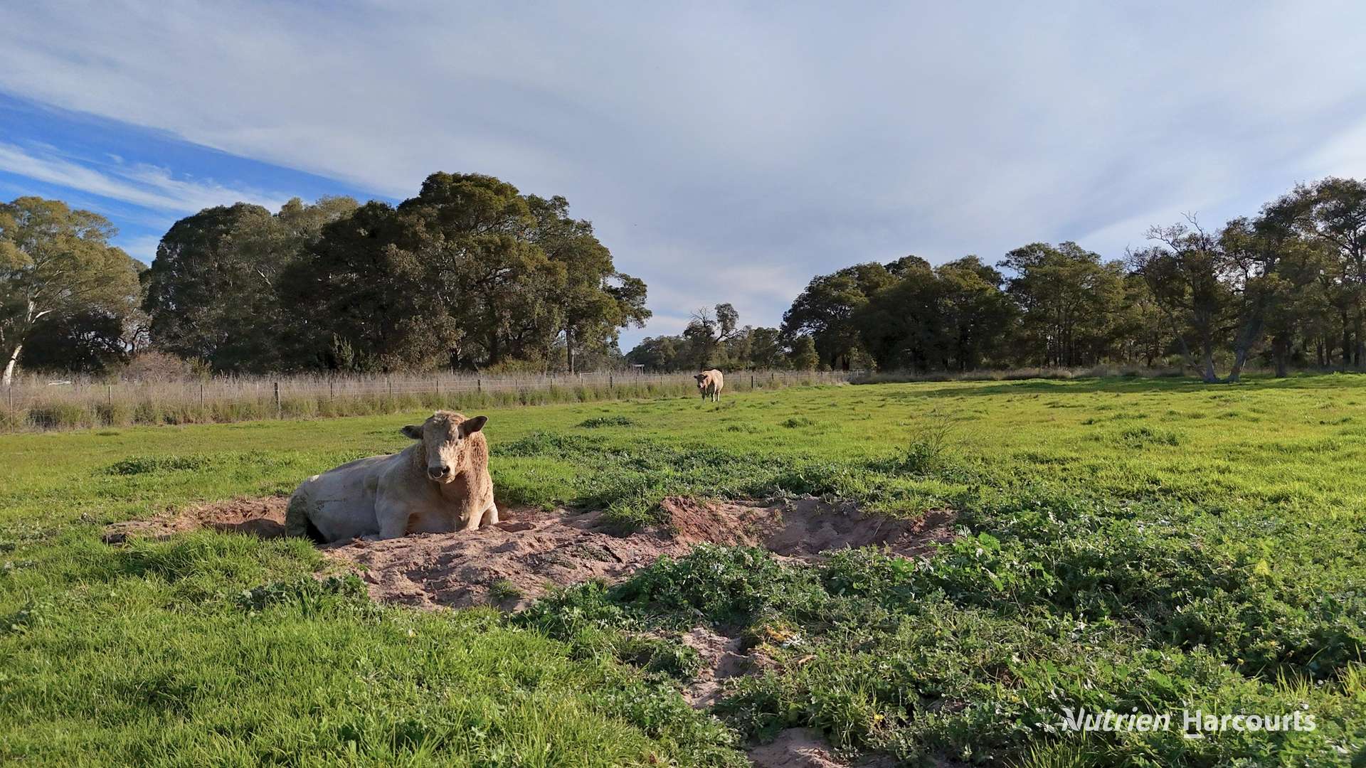 "Gracefield Park", 754 Beermullah Road West, Beermullah For Sale by Farmbuy.com - image 14