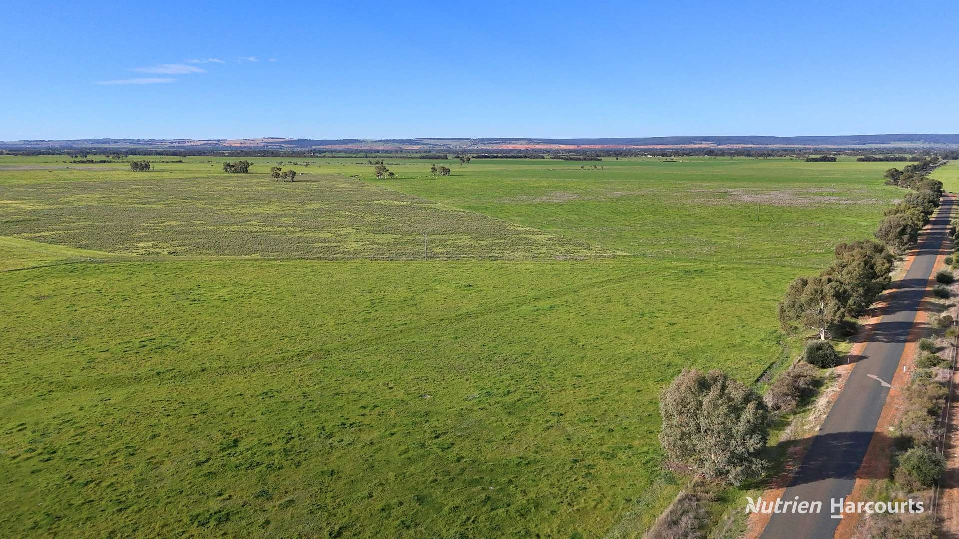 "Gracefield Park", 754 Beermullah Road West, Beermullah For Sale by Farmbuy.com - image 15