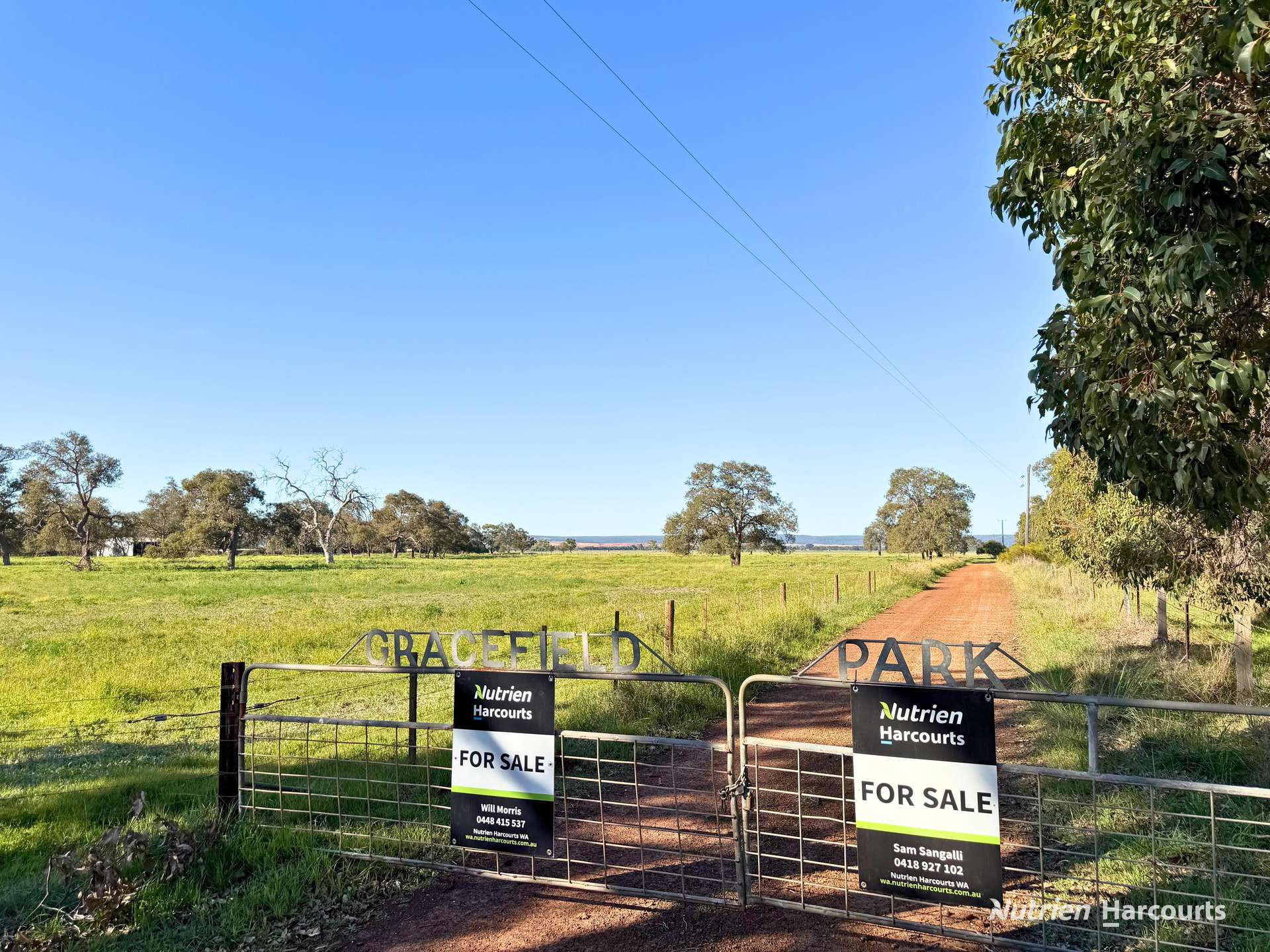 "Gracefield Park", 754 Beermullah Road West, Beermullah For Sale by Farmbuy.com - image 2