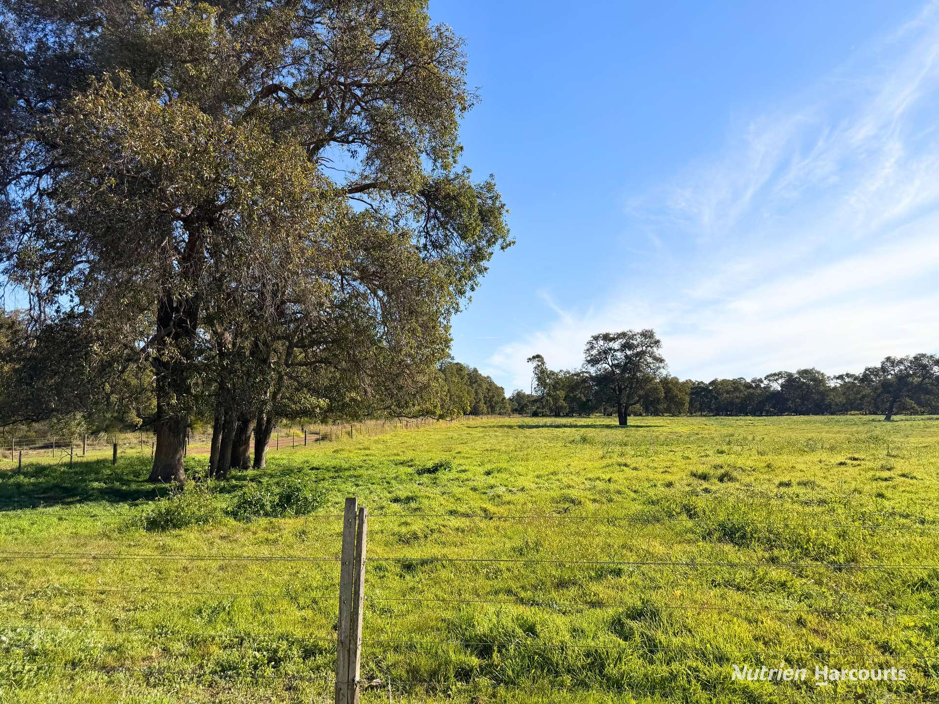 "Gracefield Park", 754 Beermullah Road West, Beermullah For Sale by Farmbuy.com - image 26