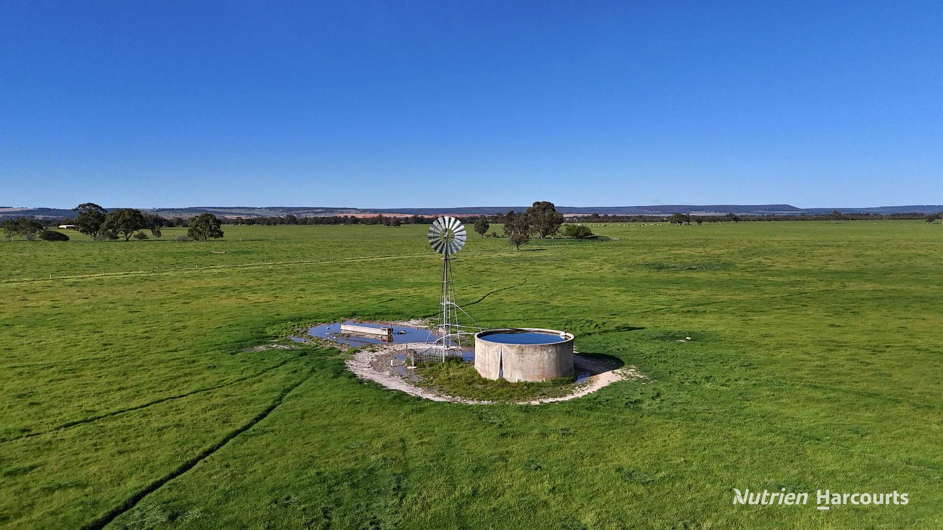 "Gracefield Park", 754 Beermullah Road West, Beermullah For Sale by Farmbuy.com - image 4