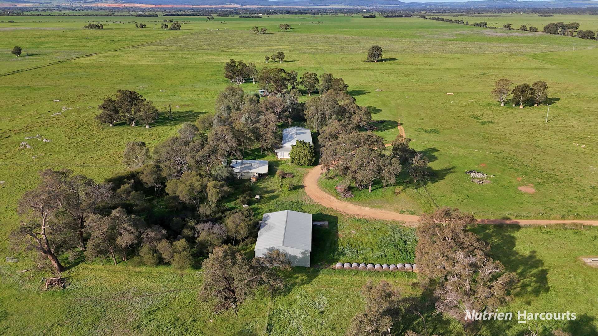 "Gracefield Park", 754 Beermullah Road West, Beermullah For Sale by Farmbuy.com - image 6