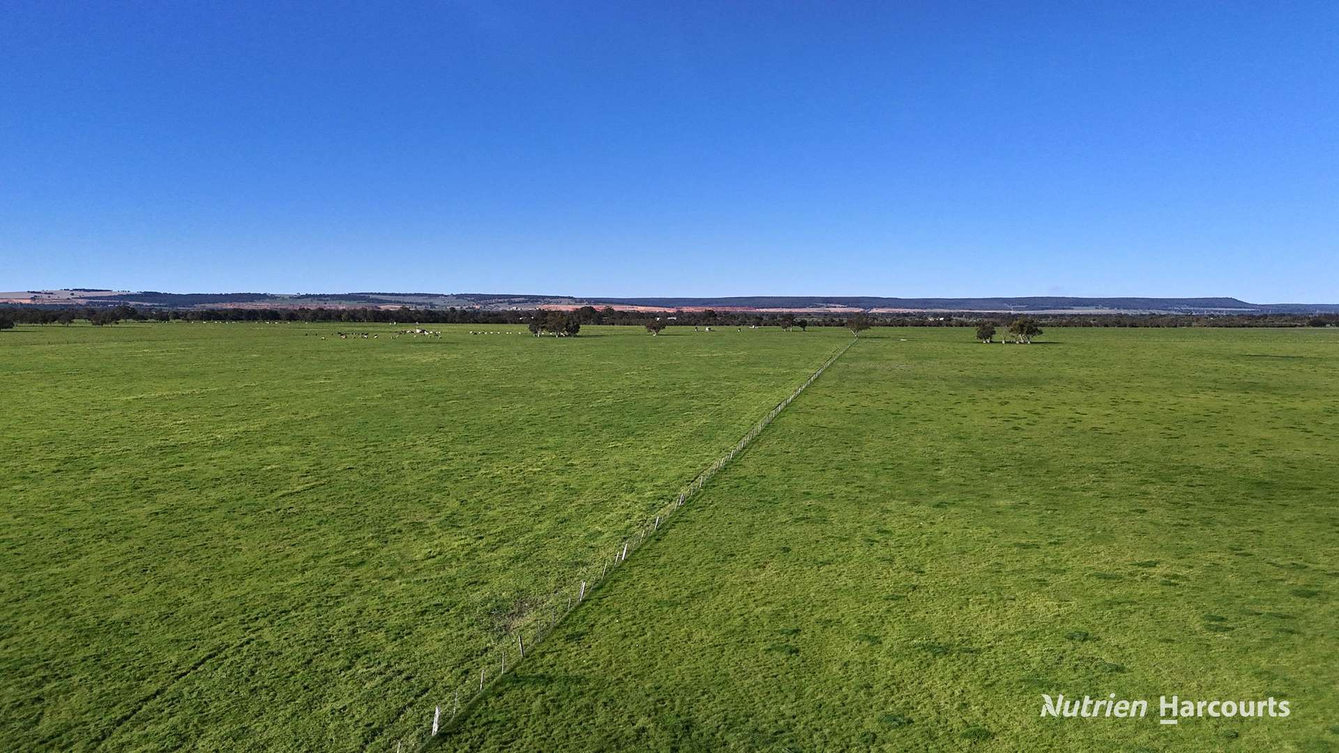 "Gracefield Park", 754 Beermullah Road West, Beermullah For Sale by Farmbuy.com - image 10
