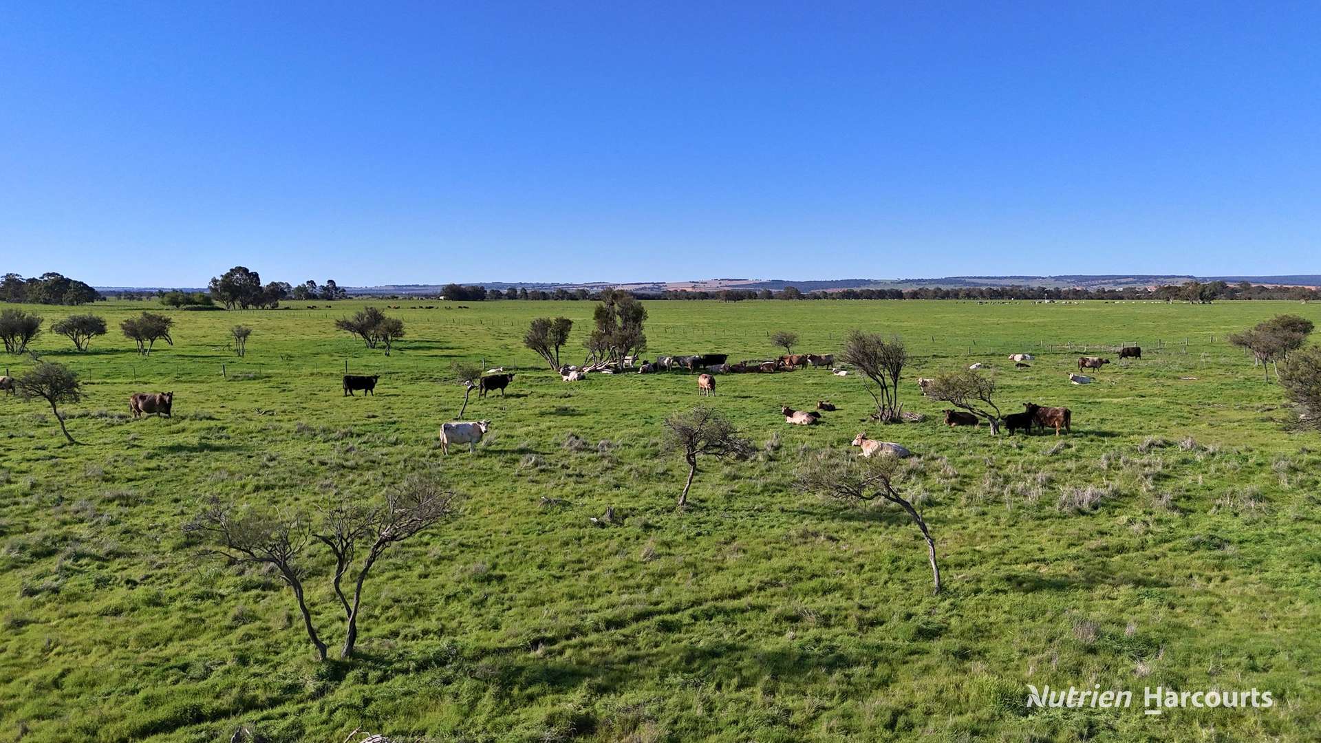"Gracefield Park", 754 Beermullah Road West, Beermullah For Sale by Farmbuy.com - image 16