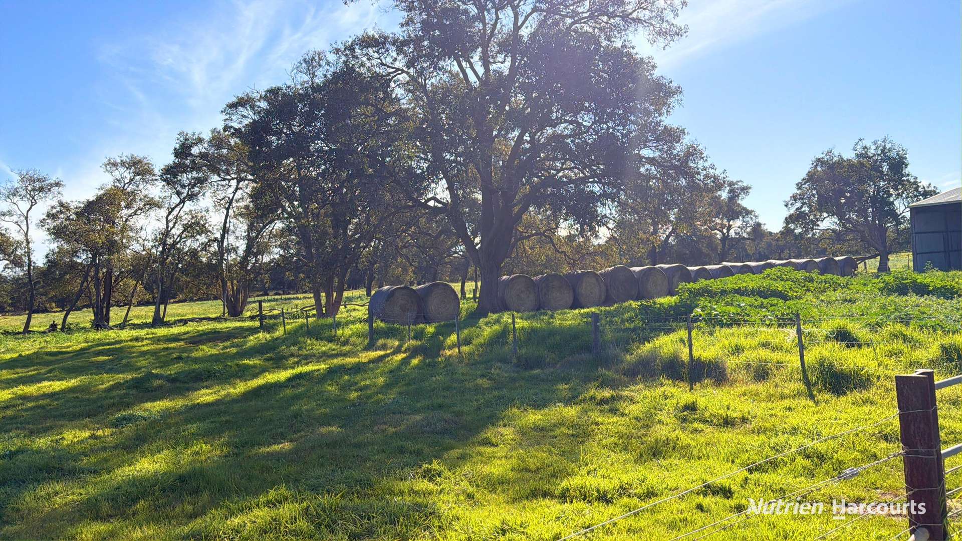 "Gracefield Park", 754 Beermullah Road West, Beermullah For Sale by Farmbuy.com - image 24