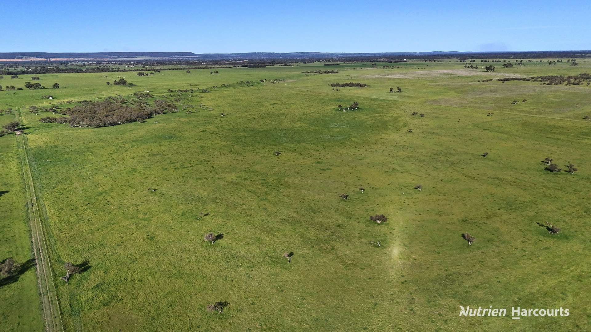 "Gracefield Park", 754 Beermullah Road West, Beermullah For Sale by Farmbuy.com - image 17