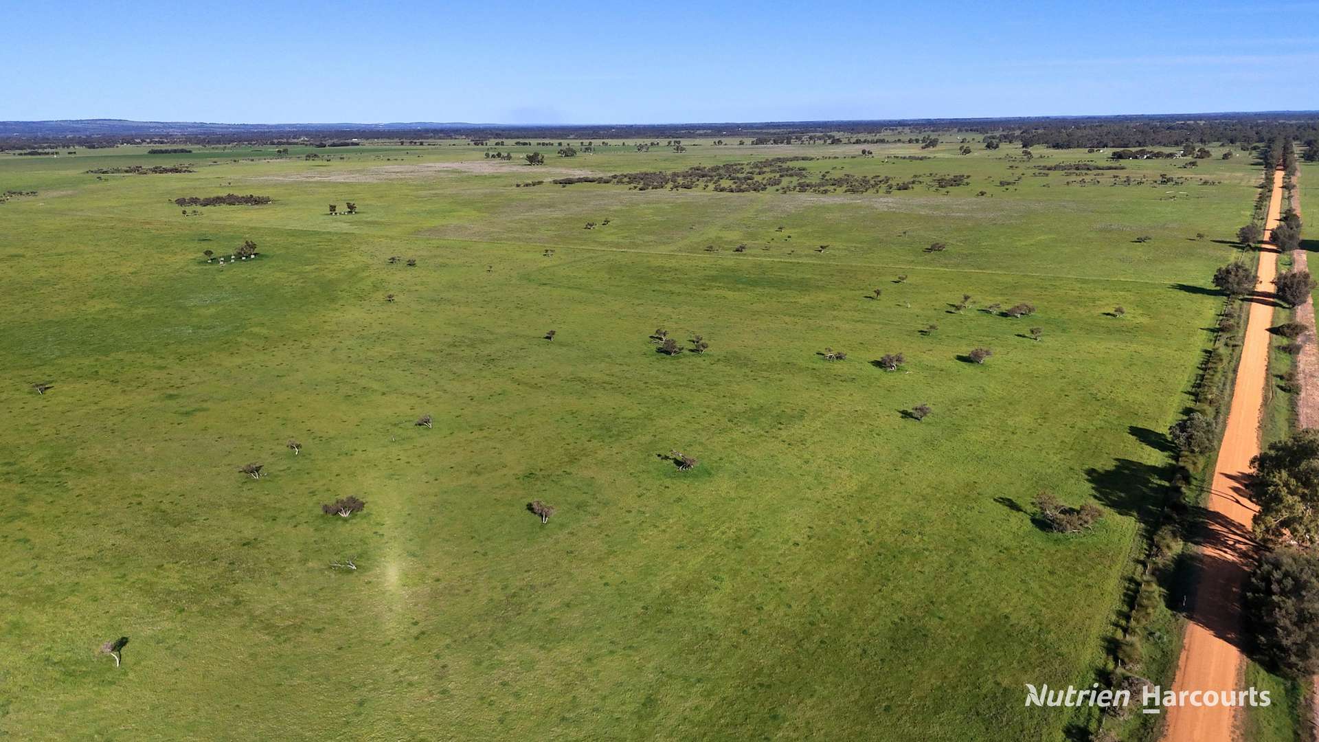 "Gracefield Park", 754 Beermullah Road West, Beermullah For Sale by Farmbuy.com - image 5