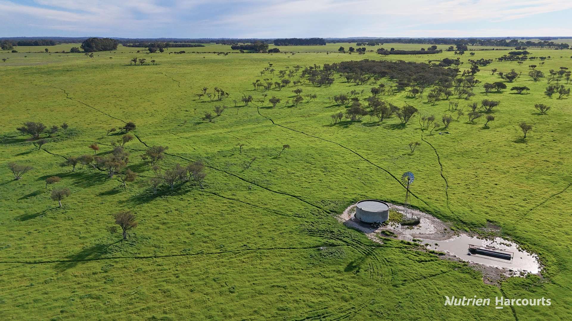 "Gracefield Park", 754 Beermullah Road West, Beermullah For Sale by Farmbuy.com - image 12