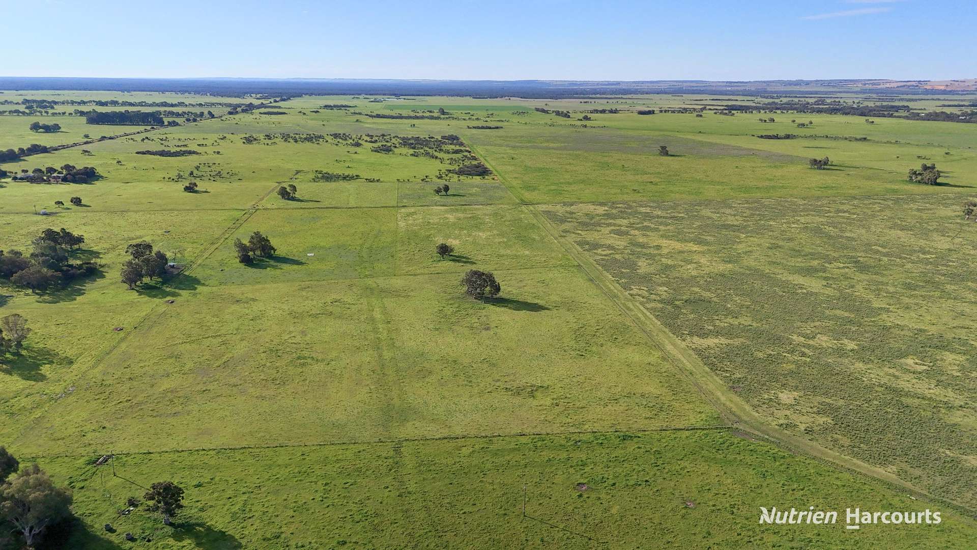 "Gracefield Park", 754 Beermullah Road West, Beermullah For Sale by Farmbuy.com - image 18