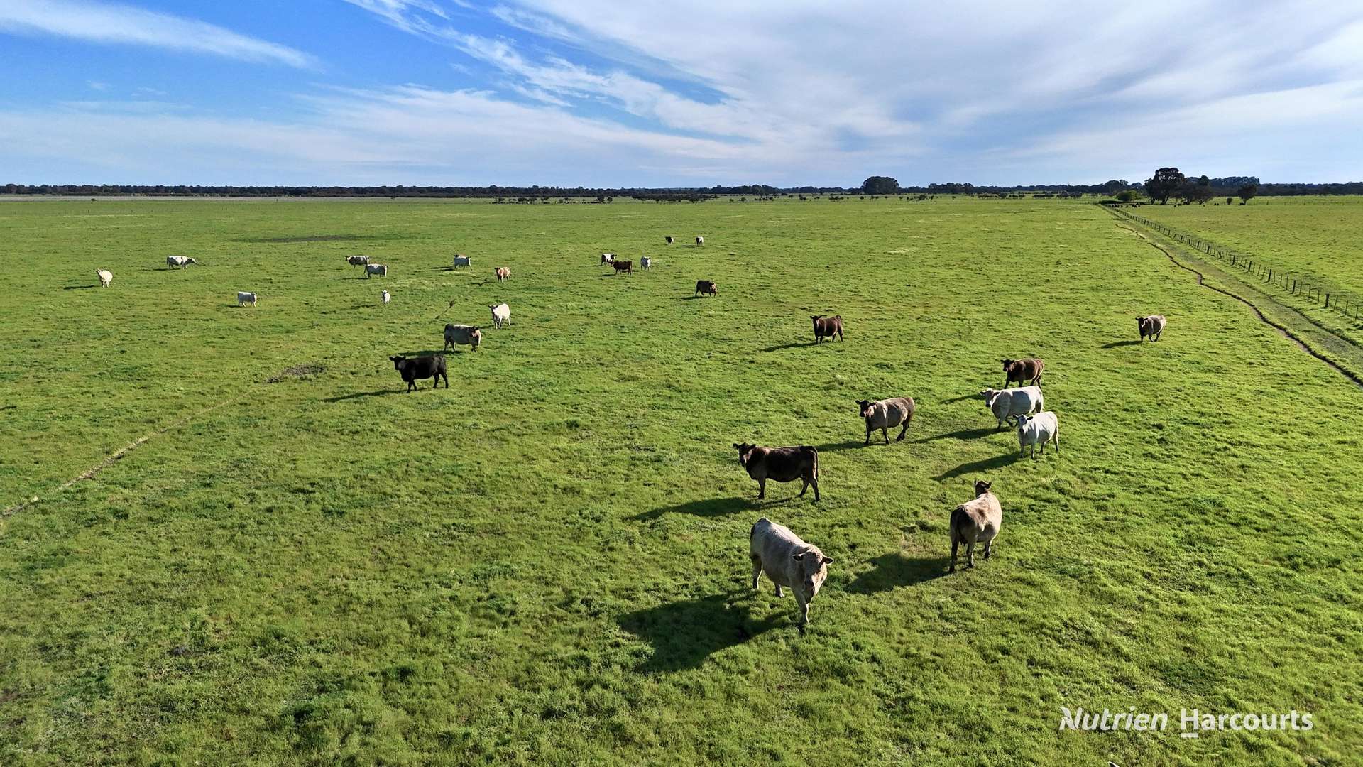 "Gracefield Park", 754 Beermullah Road West, Beermullah For Sale by Farmbuy.com - image 9