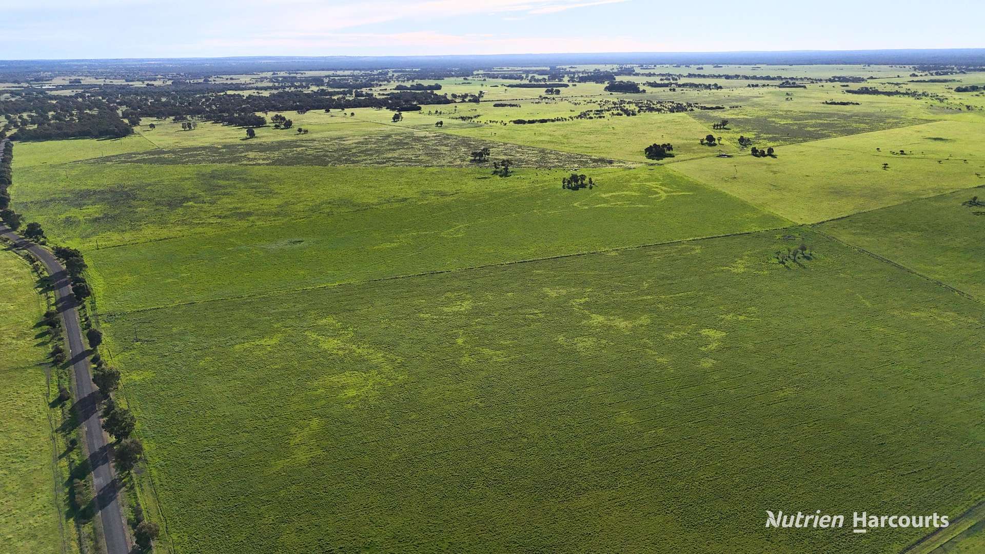 "Gracefield Park", 754 Beermullah Road West, Beermullah For Sale by Farmbuy.com - image 29