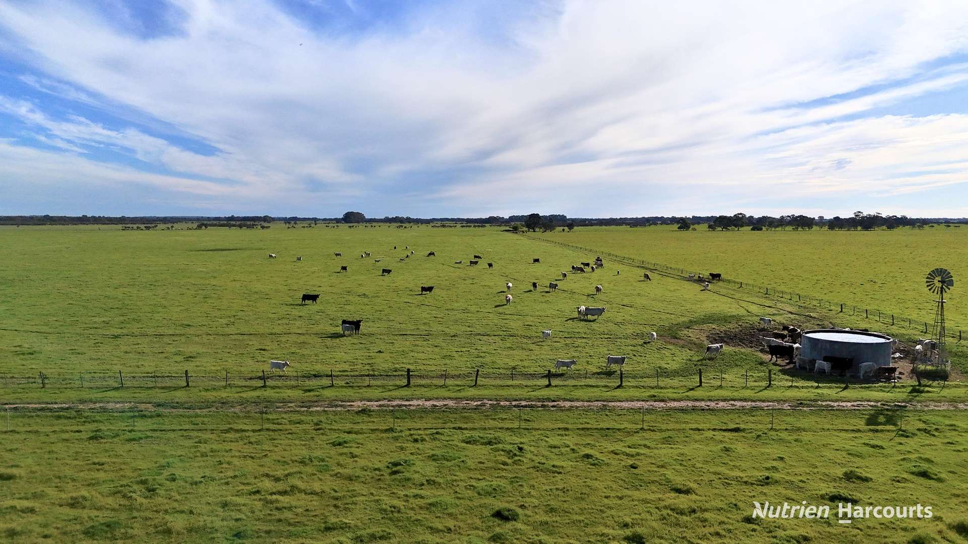 "Gracefield Park", 754 Beermullah Road West, Beermullah For Sale by Farmbuy.com - image 3