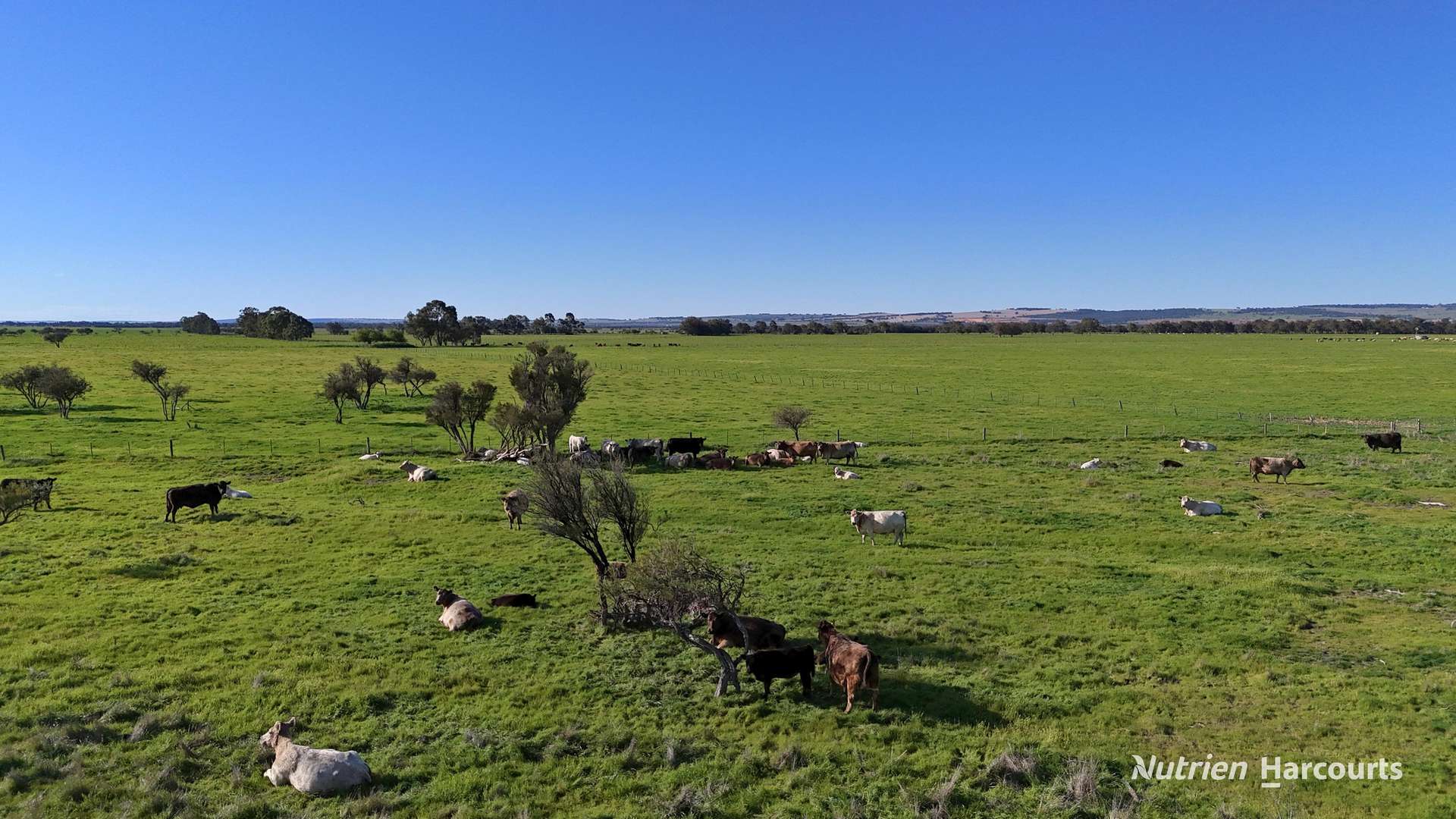 "Gracefield Park", 754 Beermullah Road West, Beermullah For Sale by Farmbuy.com - image 33