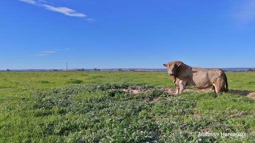 "Gracefield Park"&comma; 754 Beermullah Road West, Beermullah WA 6503