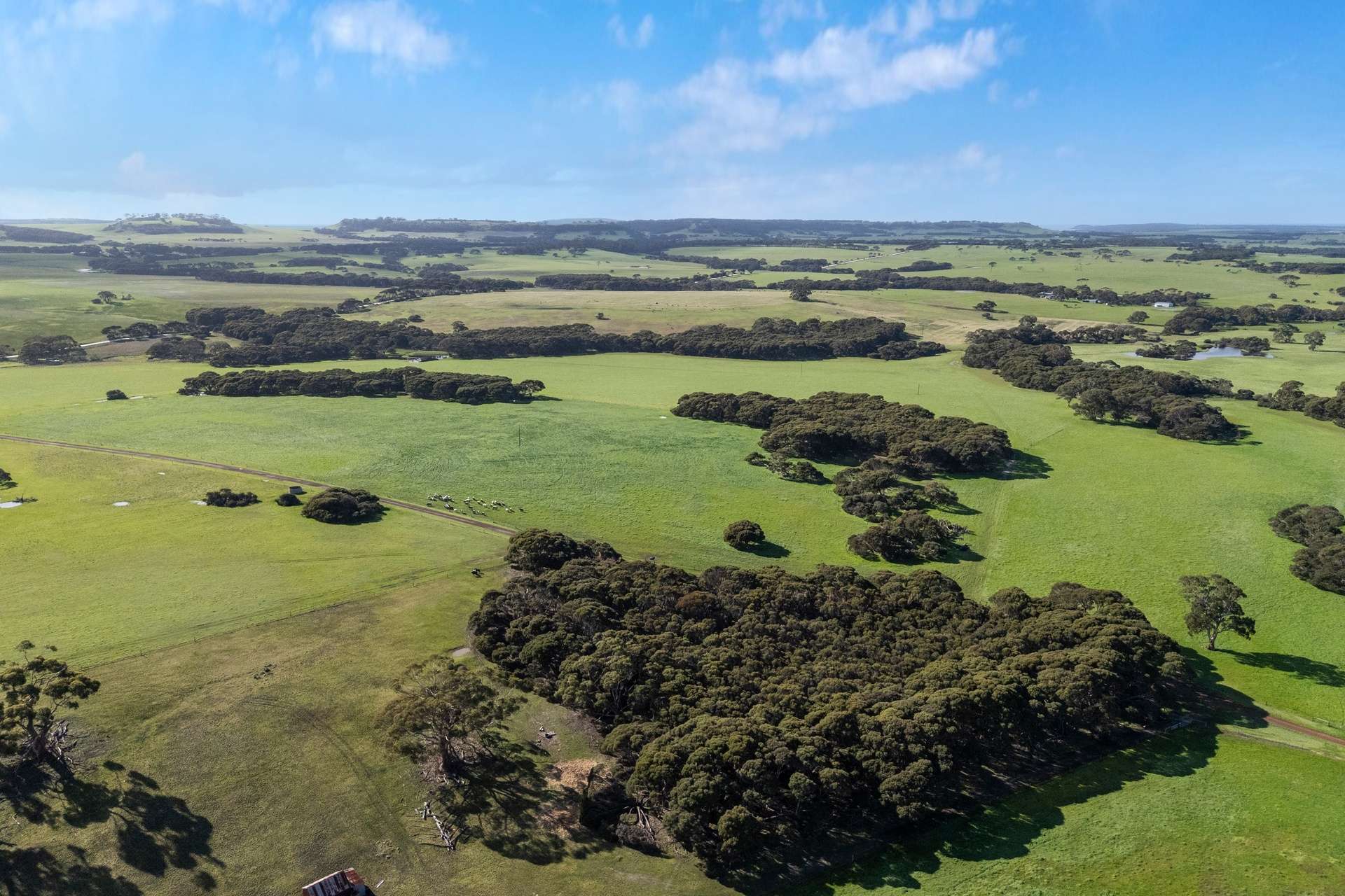 1223 Springs Road, Menzies For Sale by Farmbuy.com - image 33