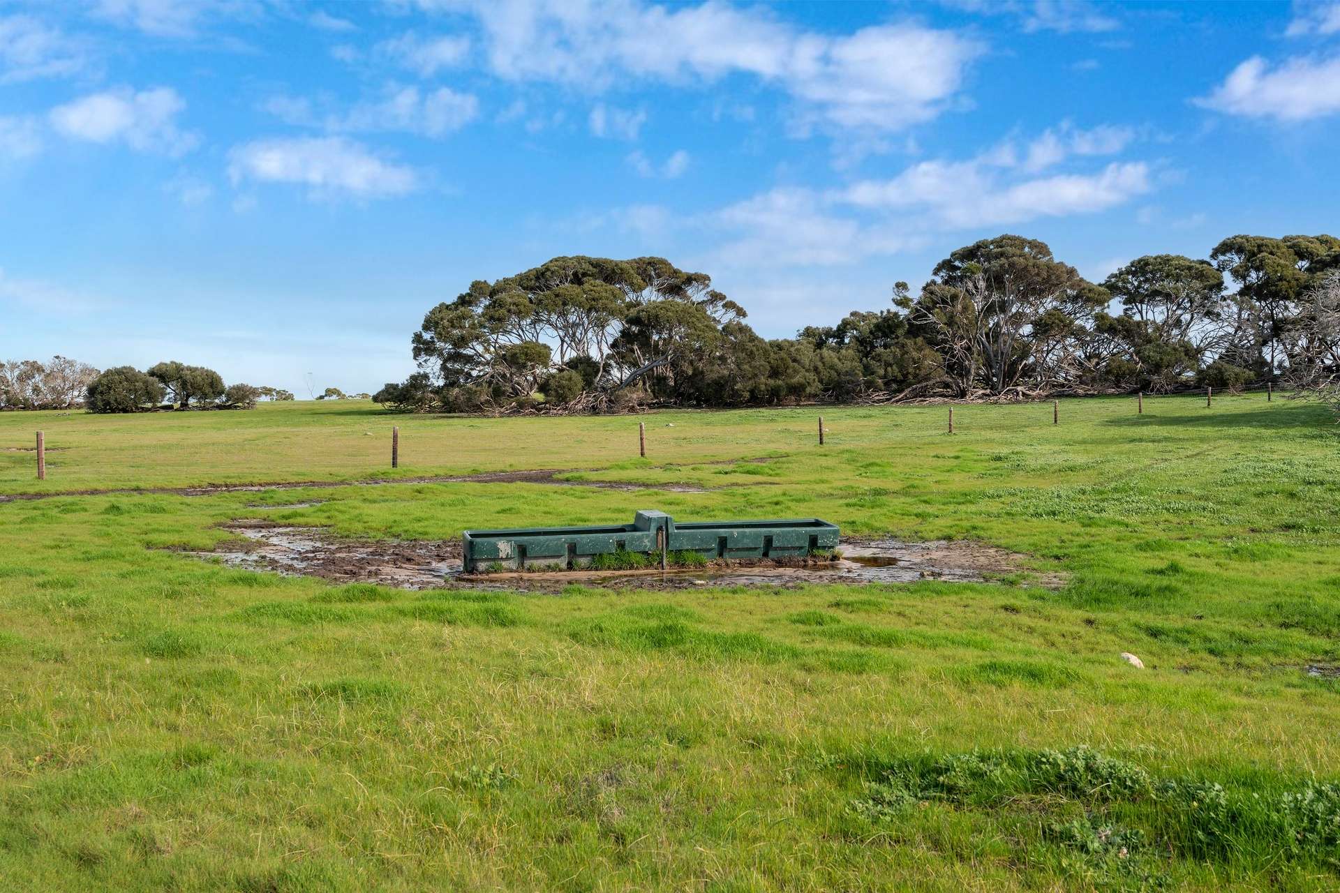 1223 Springs Road, Menzies For Sale by Farmbuy.com - image 21