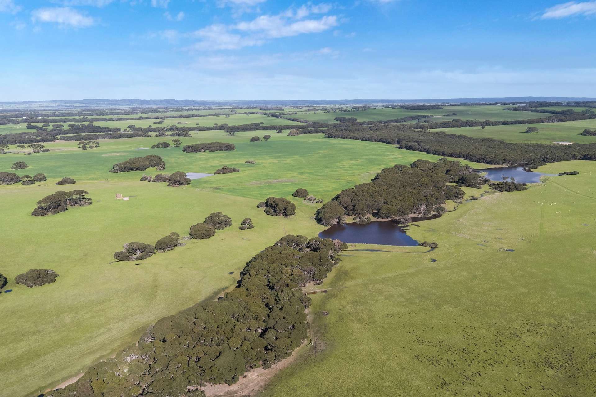 1223 Springs Road, Menzies For Sale by Farmbuy.com - image 28