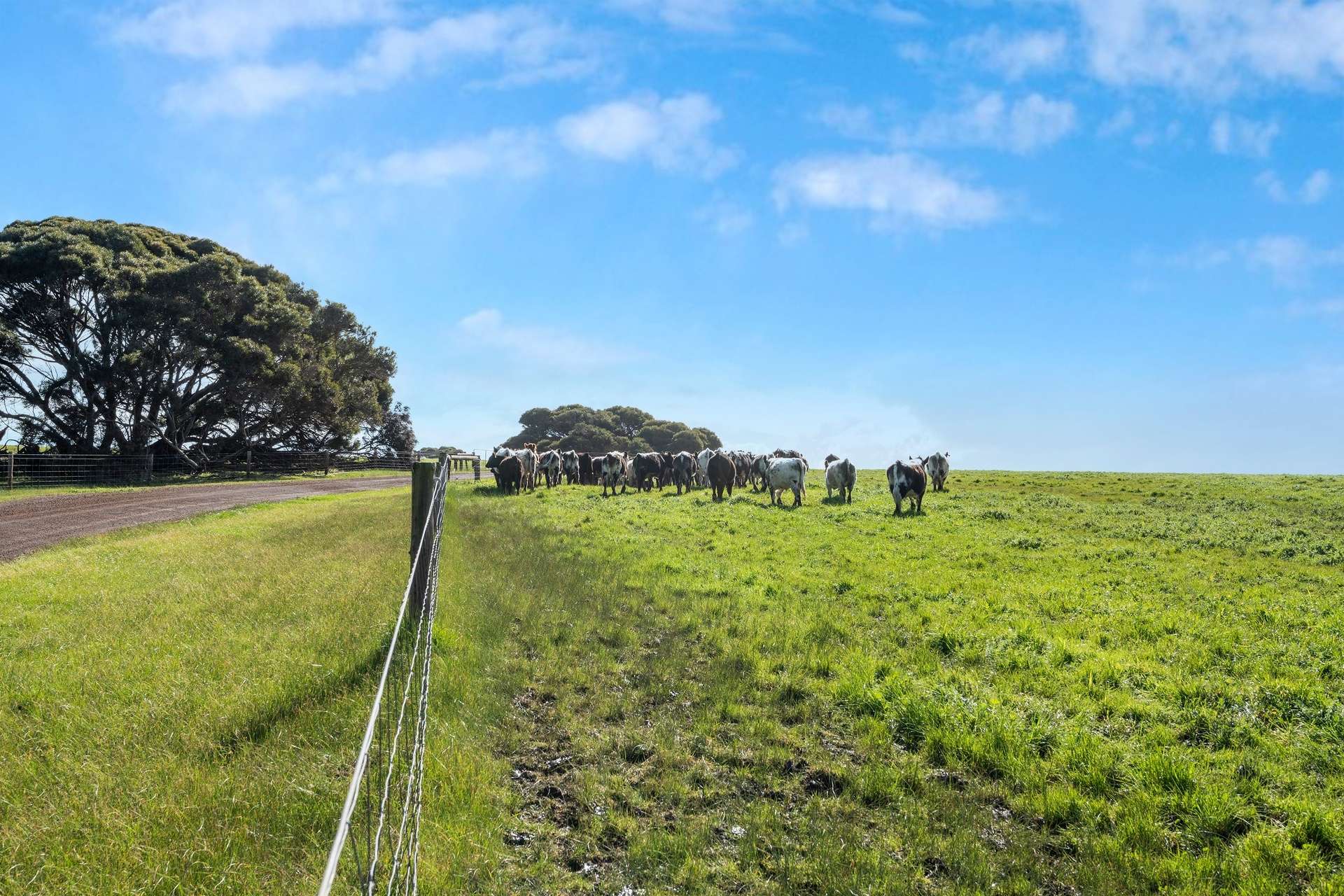 1223 Springs Road, Menzies For Sale by Farmbuy.com - image 23
