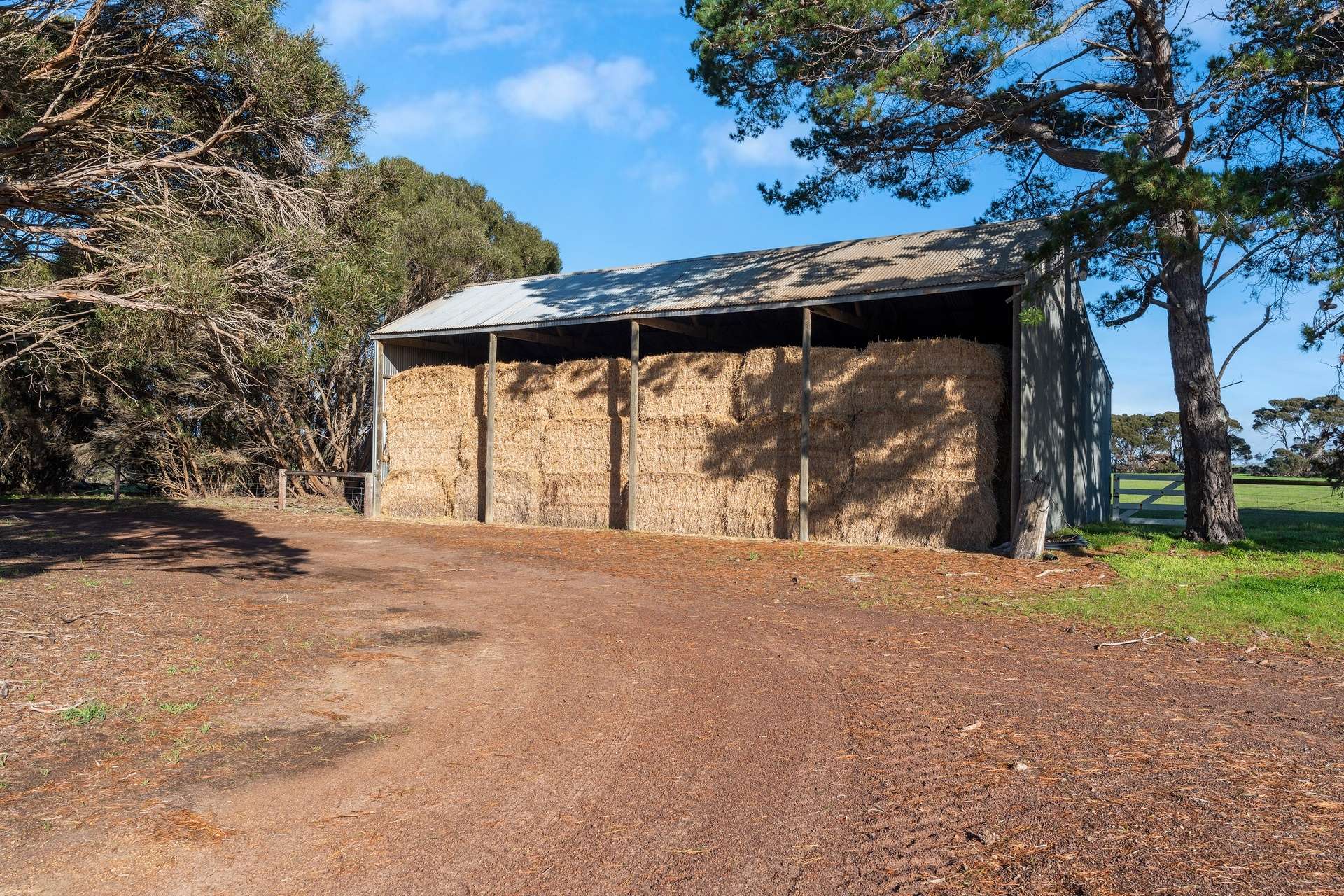 1223 Springs Road, Menzies For Sale by Farmbuy.com - image 9