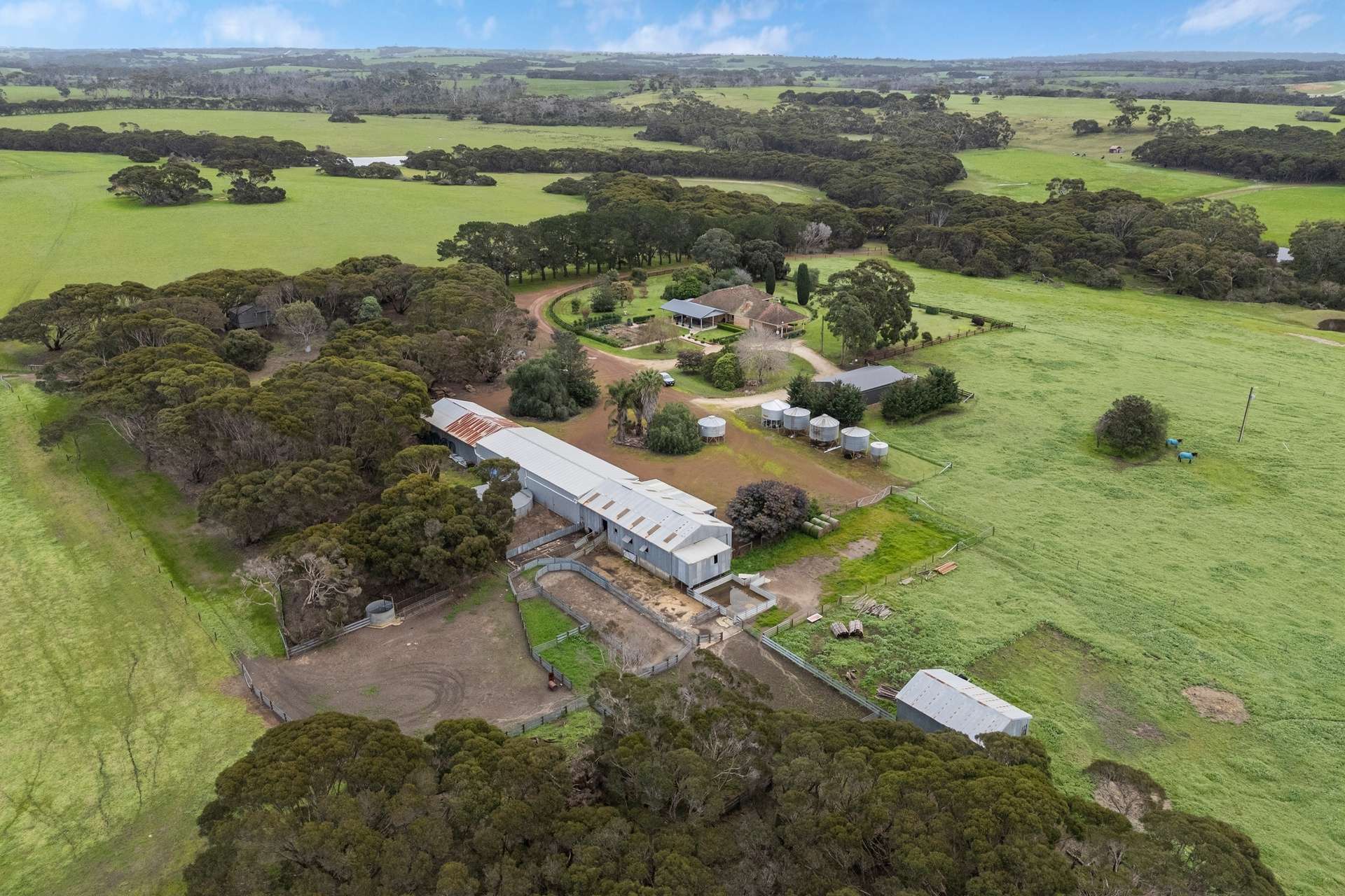 1223 Springs Road, Menzies For Sale by Farmbuy.com - image 3