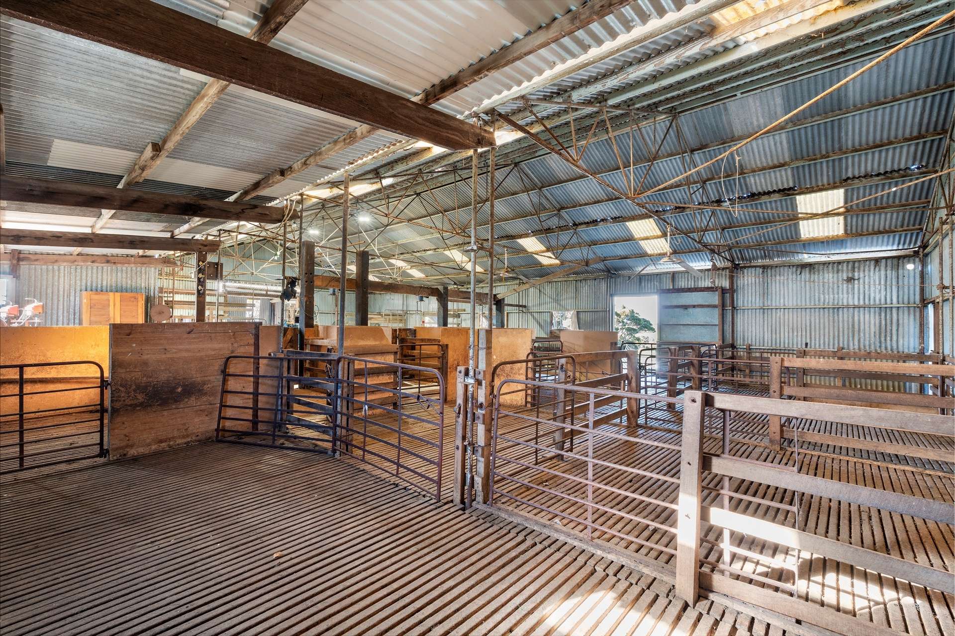 1223 Springs Road, Menzies For Sale by Farmbuy.com - image 14