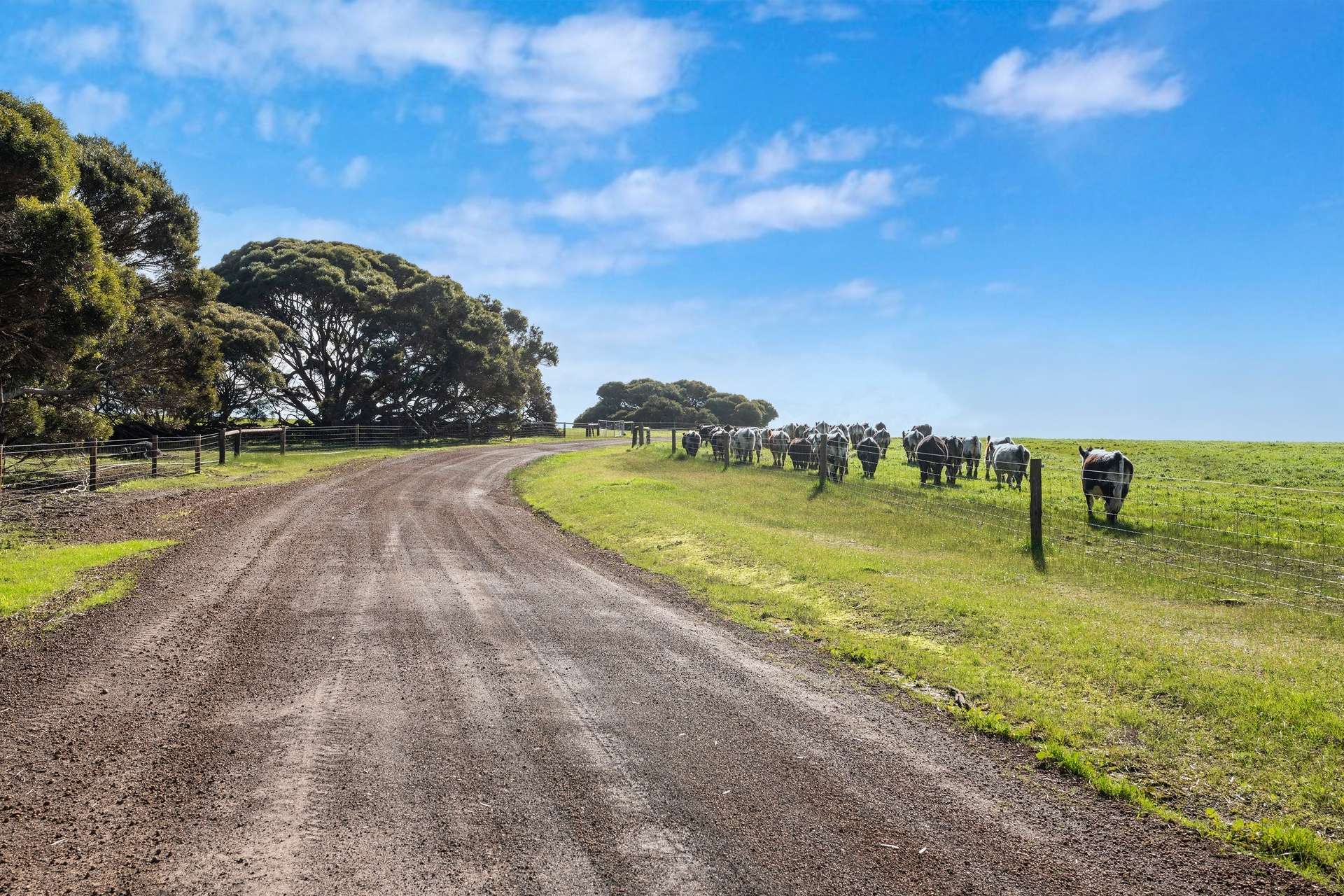 1223 Springs Road, Menzies For Sale by Farmbuy.com - image 22