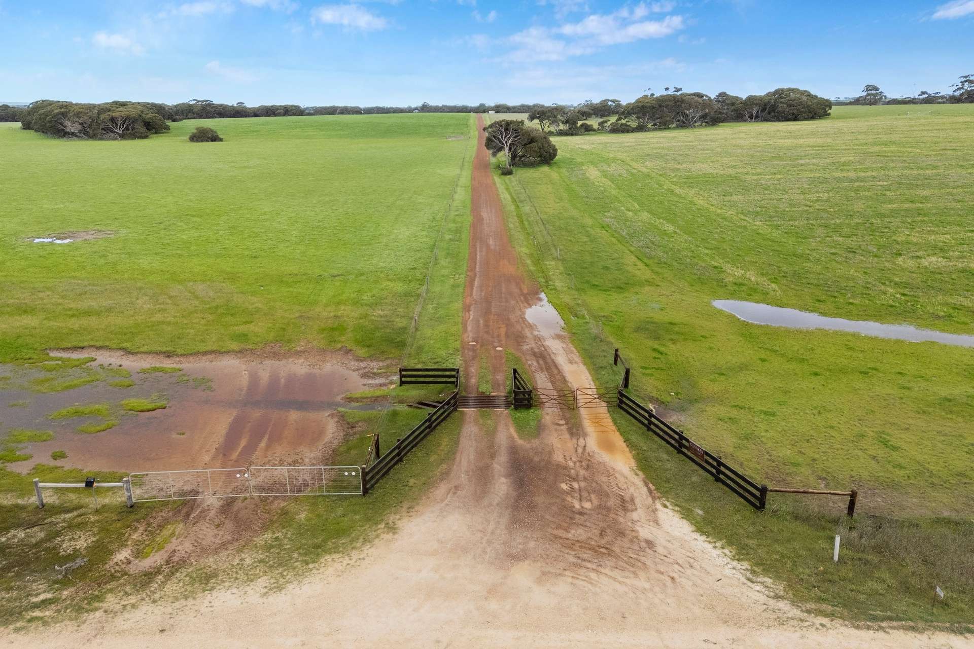 1223 Springs Road, Menzies For Sale by Farmbuy.com - image 7