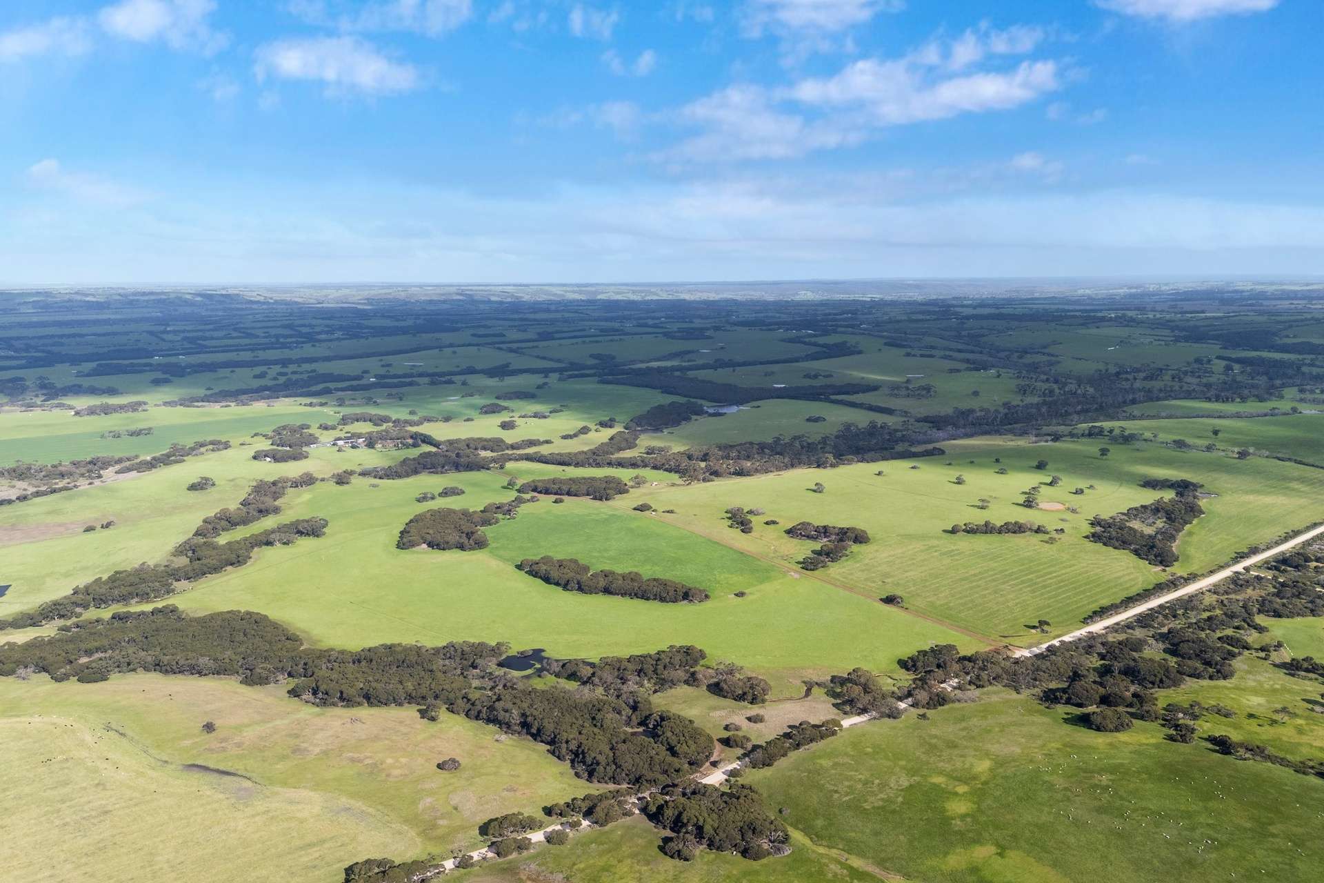 1223 Springs Road, Menzies For Sale by Farmbuy.com - image 5