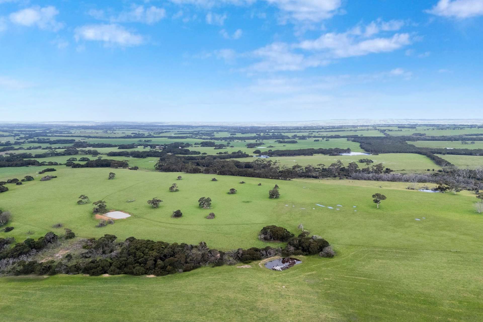 1223 Springs Road, Menzies For Sale by Farmbuy.com - image 26