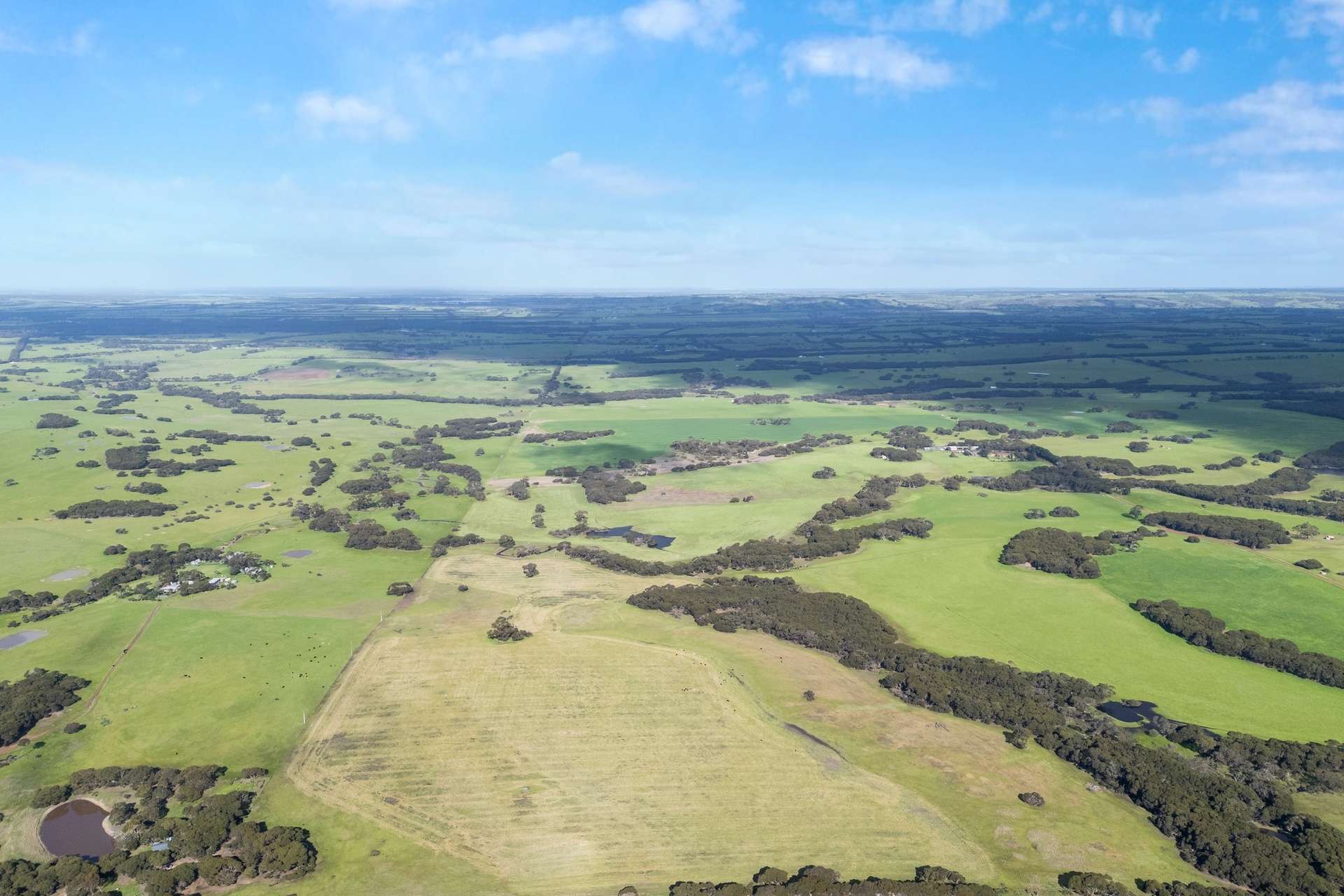 1223 Springs Road, Menzies For Sale by Farmbuy.com - image 35