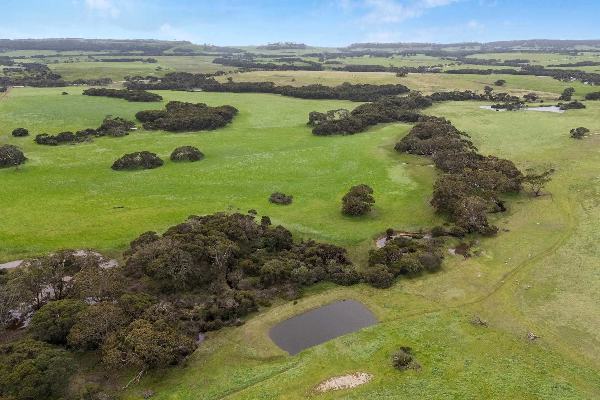 1223 Springs Road, Menzies For Sale by Farmbuy.com - image 29