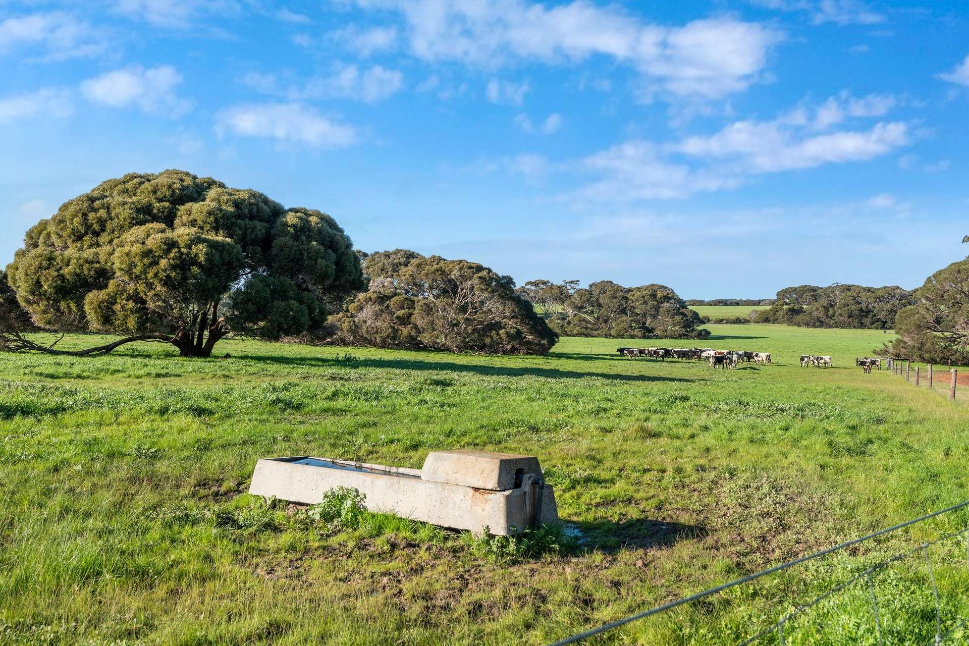 1223 Springs Road, Menzies For Sale by Farmbuy.com - image 20