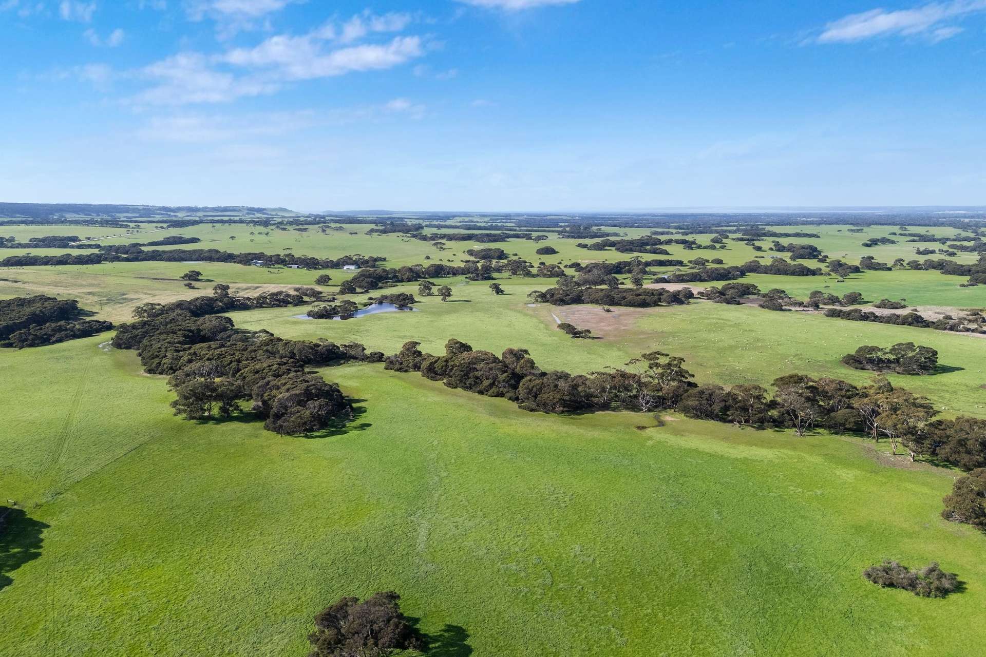 1223 Springs Road, Menzies For Sale by Farmbuy.com - image 34