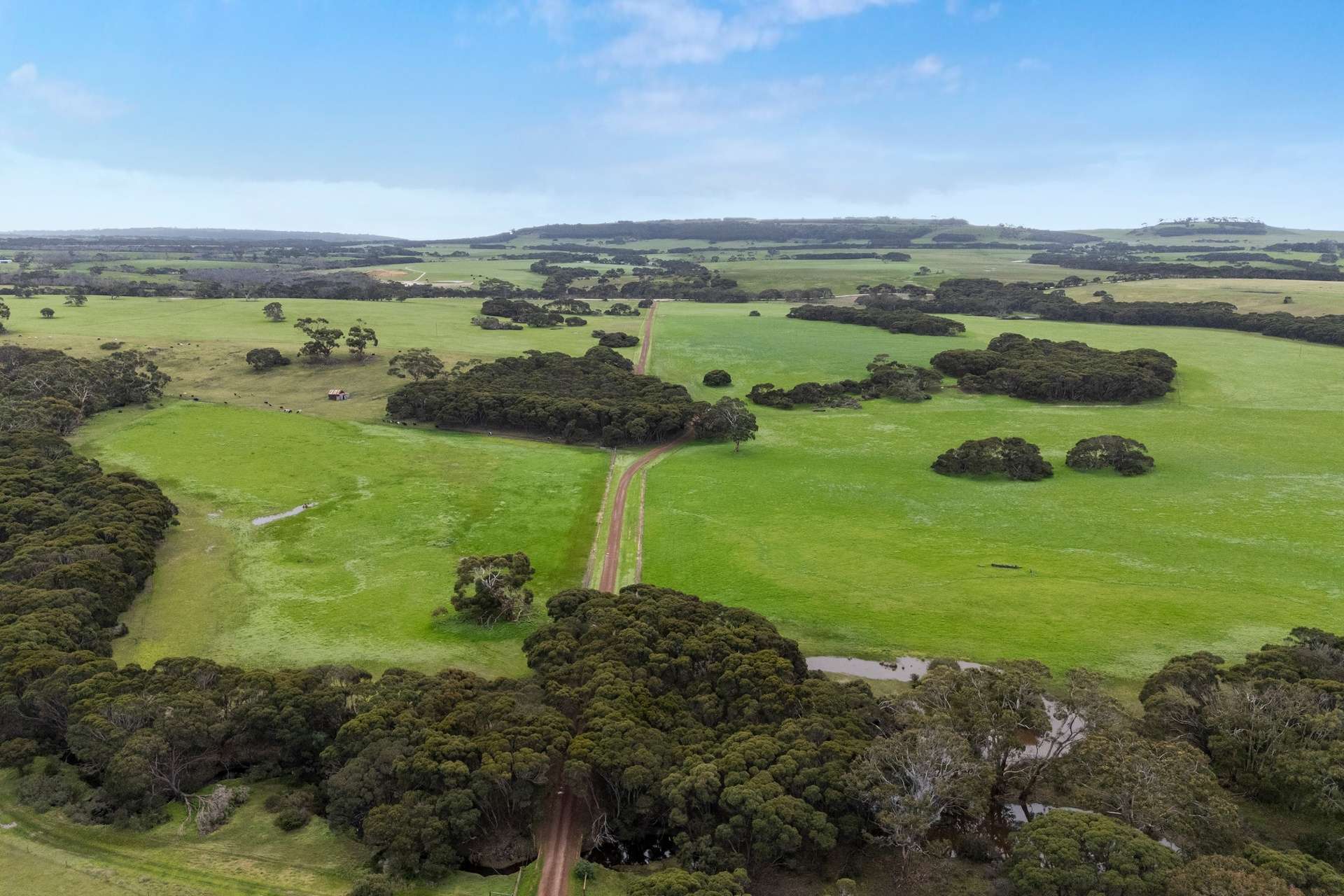 1223 Springs Road, Menzies For Sale by Farmbuy.com - image 8