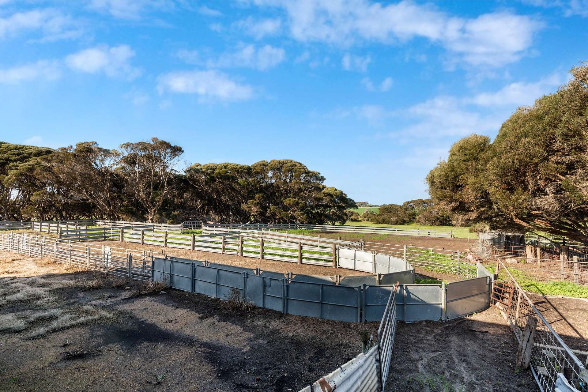 1223 Springs Road, Menzies For Sale by Farmbuy.com - image 15