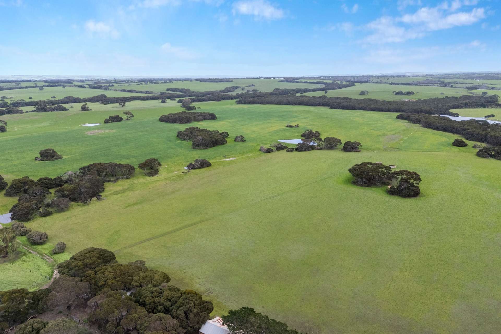 1223 Springs Road, Menzies For Sale by Farmbuy.com - image 27