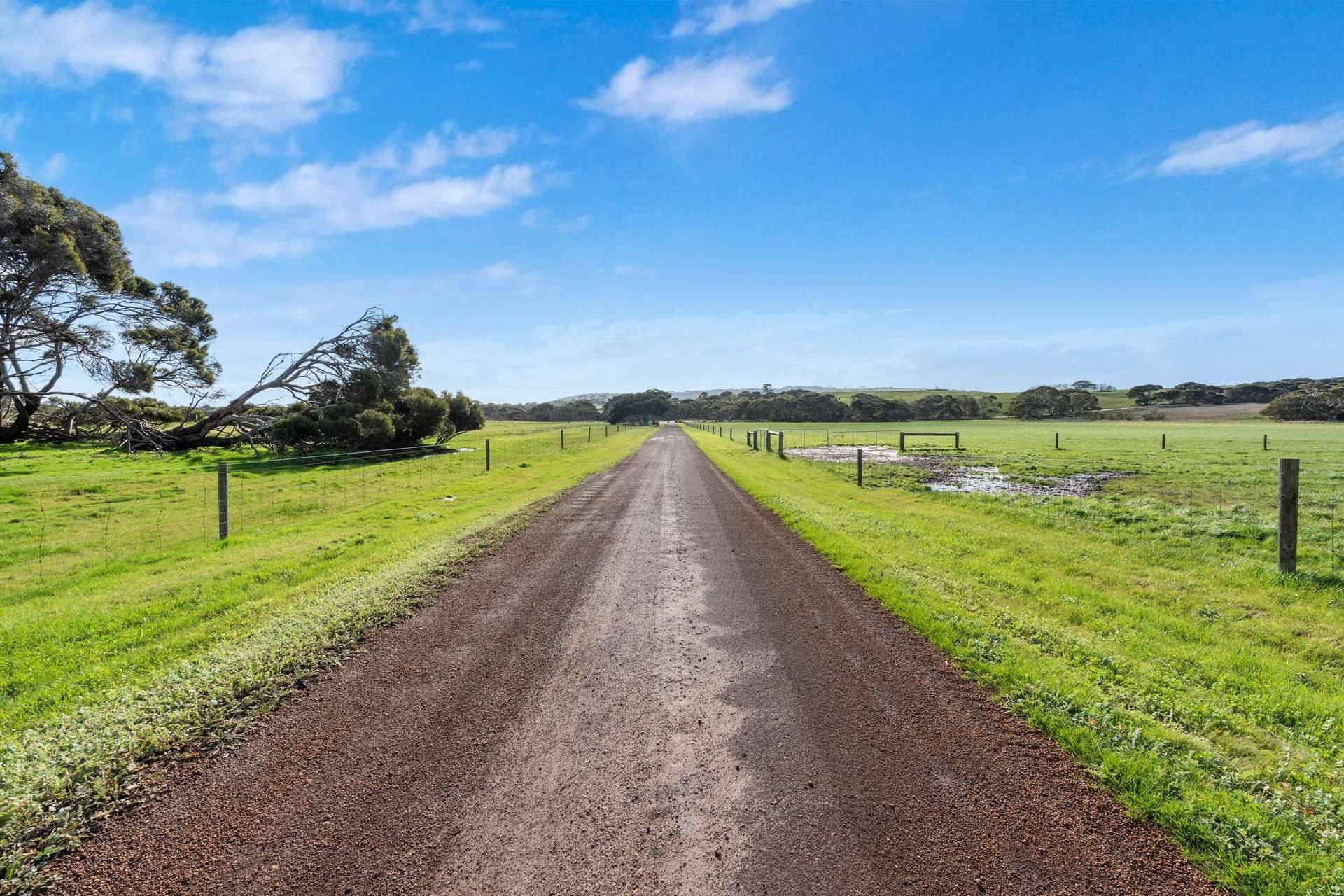 1223 Springs Road, Menzies For Sale by Farmbuy.com - image 24