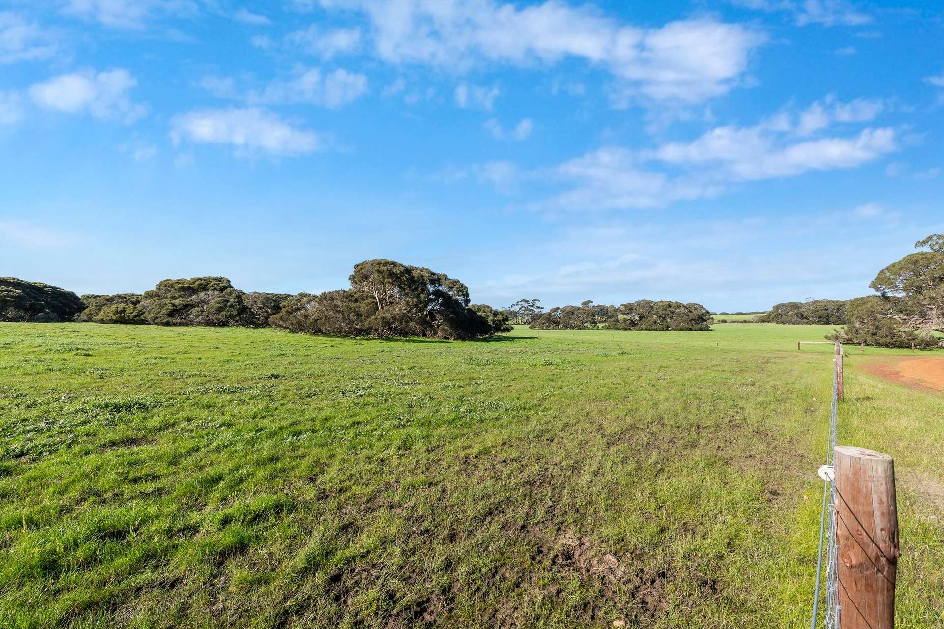 1223 Springs Road, Menzies For Sale by Farmbuy.com - image 25