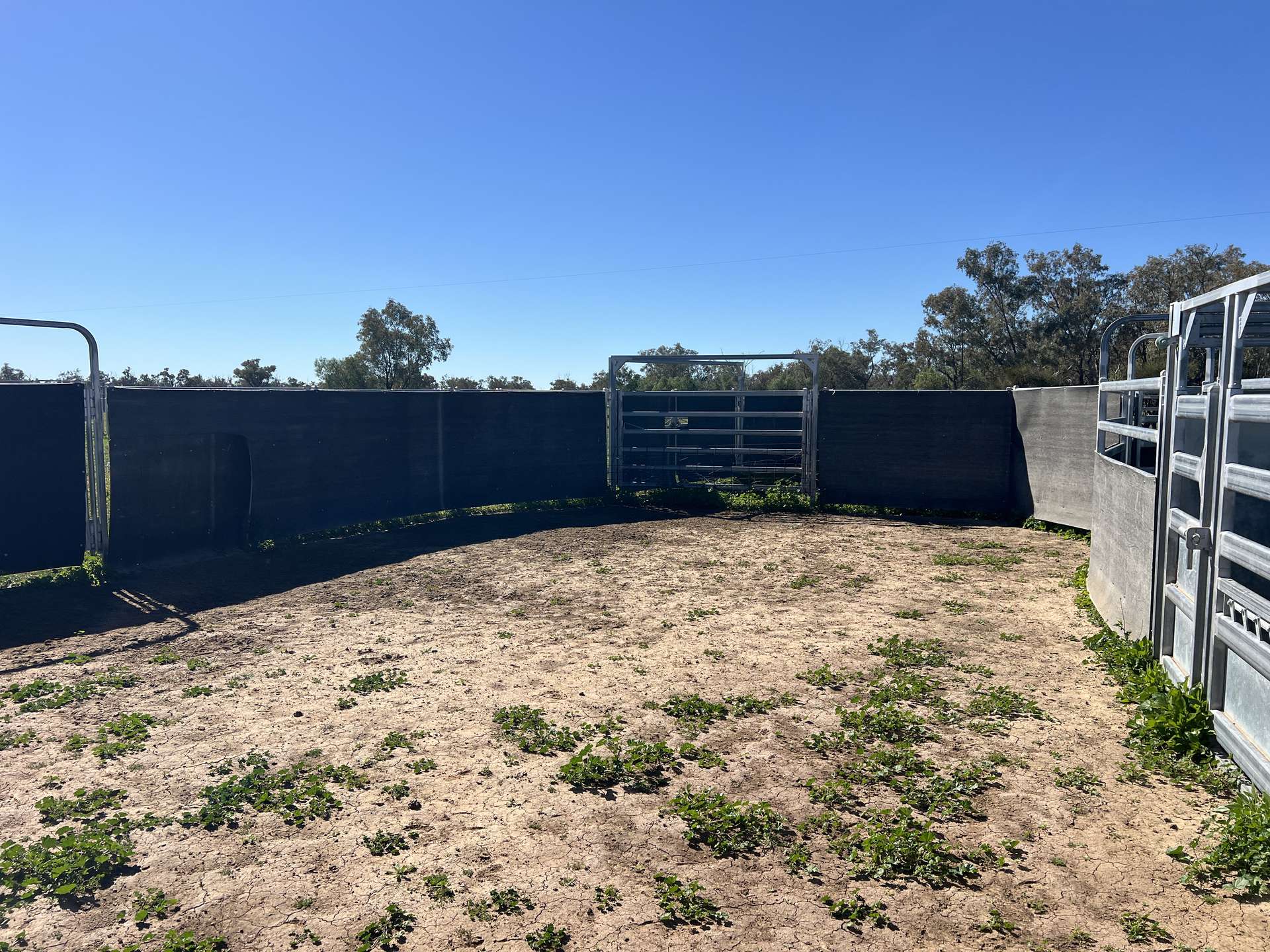 Inverella, Carinya & Mindaribba, Brewarrina For Sale by Farmbuy.com - image 34