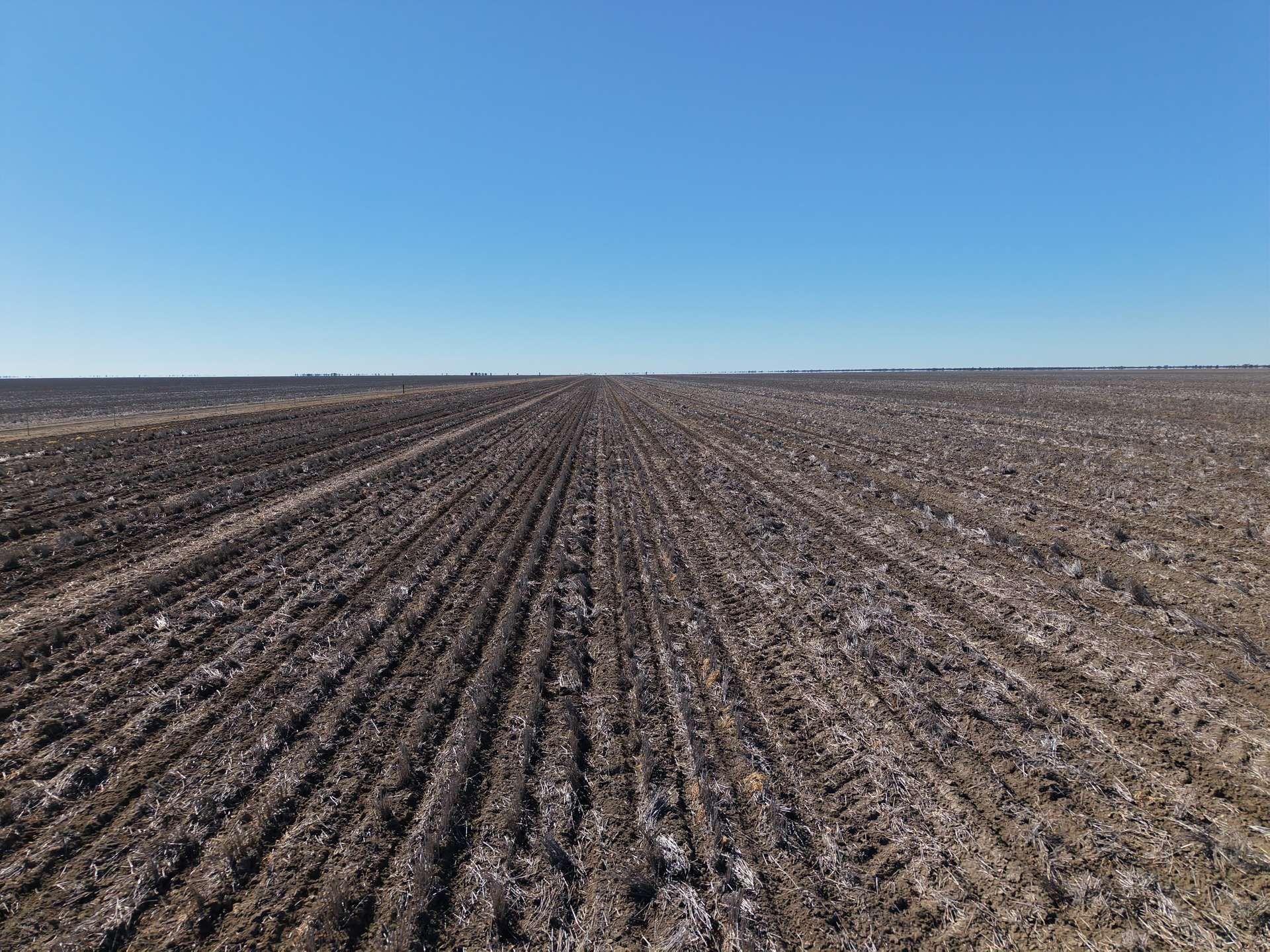 Inverella, Carinya & Mindaribba, Brewarrina For Sale by Farmbuy.com - image 30