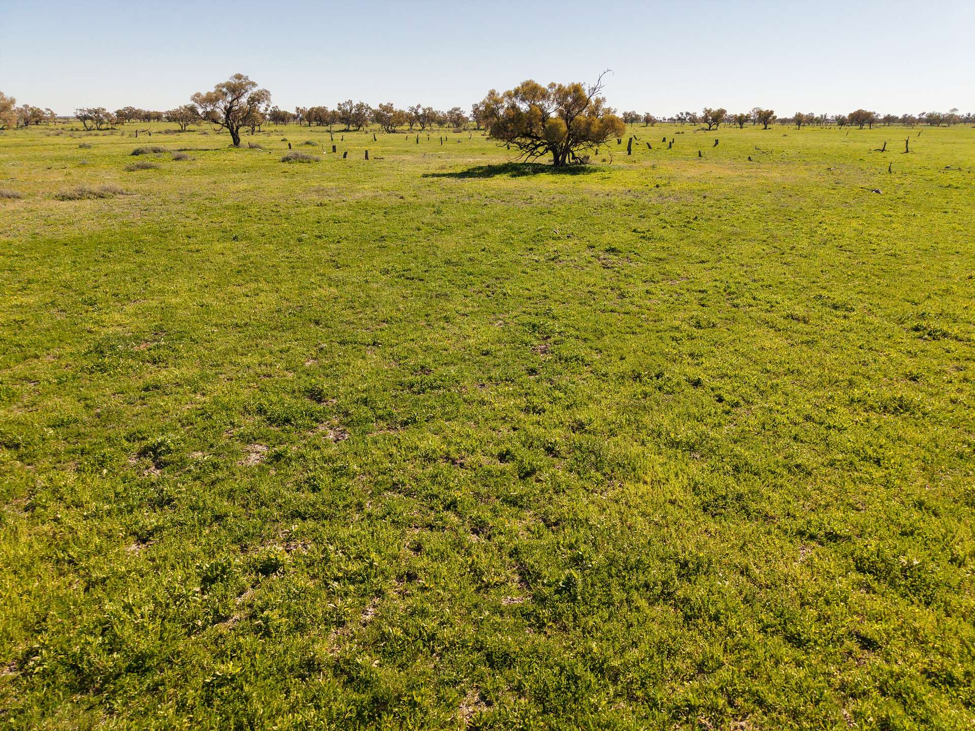 Inverella, Carinya & Mindaribba, Brewarrina For Sale by Farmbuy.com - image 18